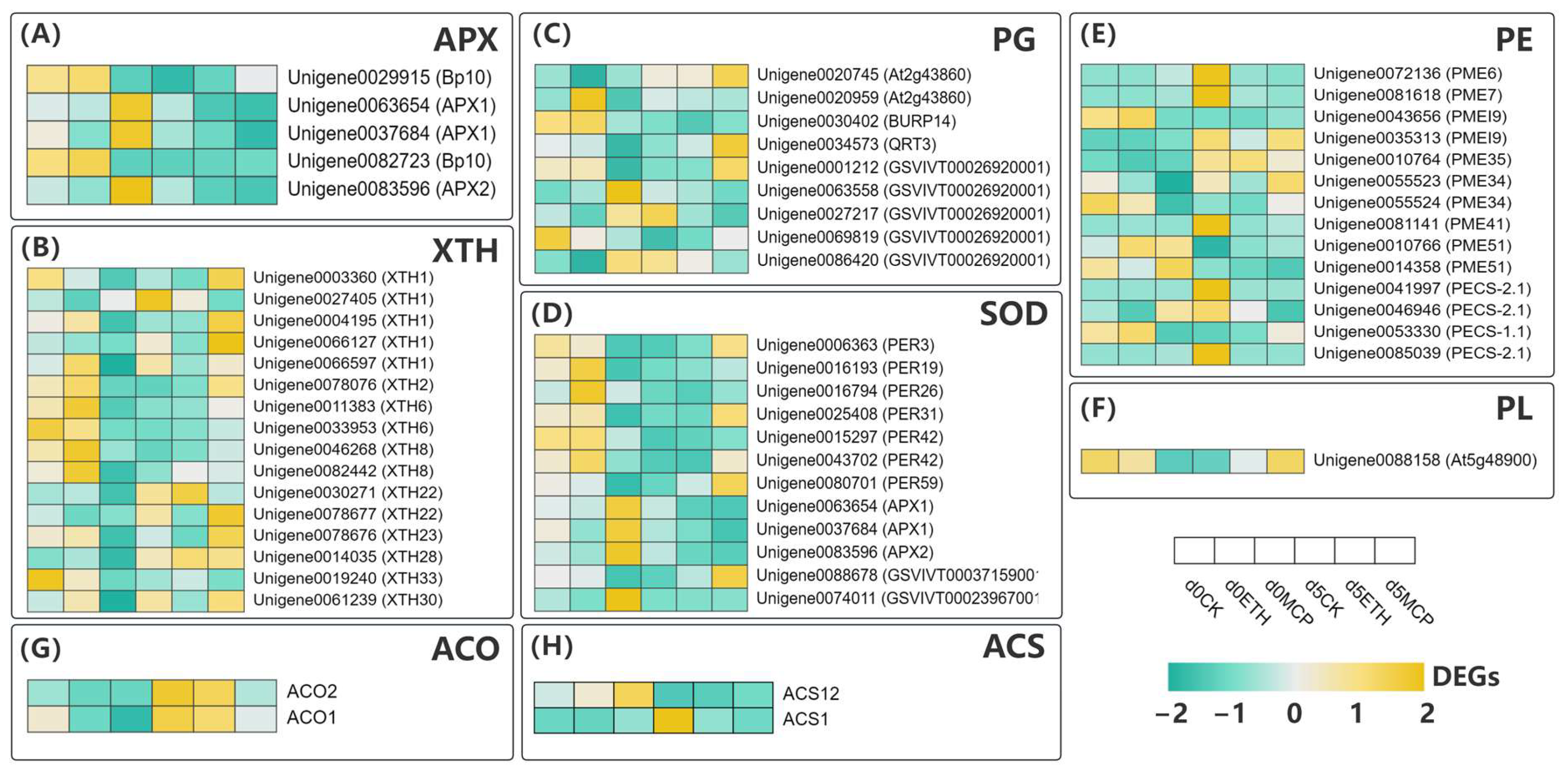 Horticulturae 11 00386 g008