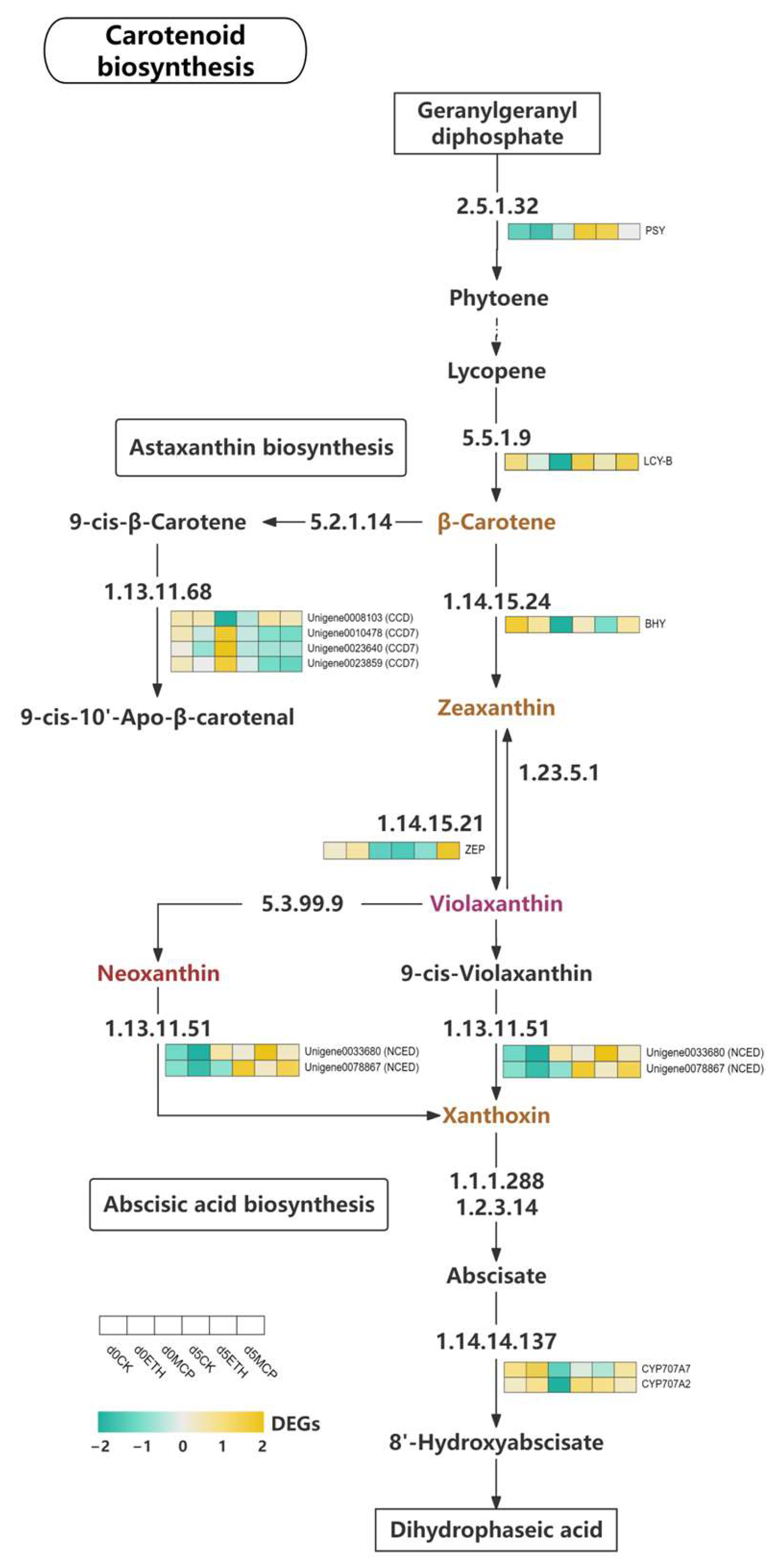 Horticulturae 11 00386 g009