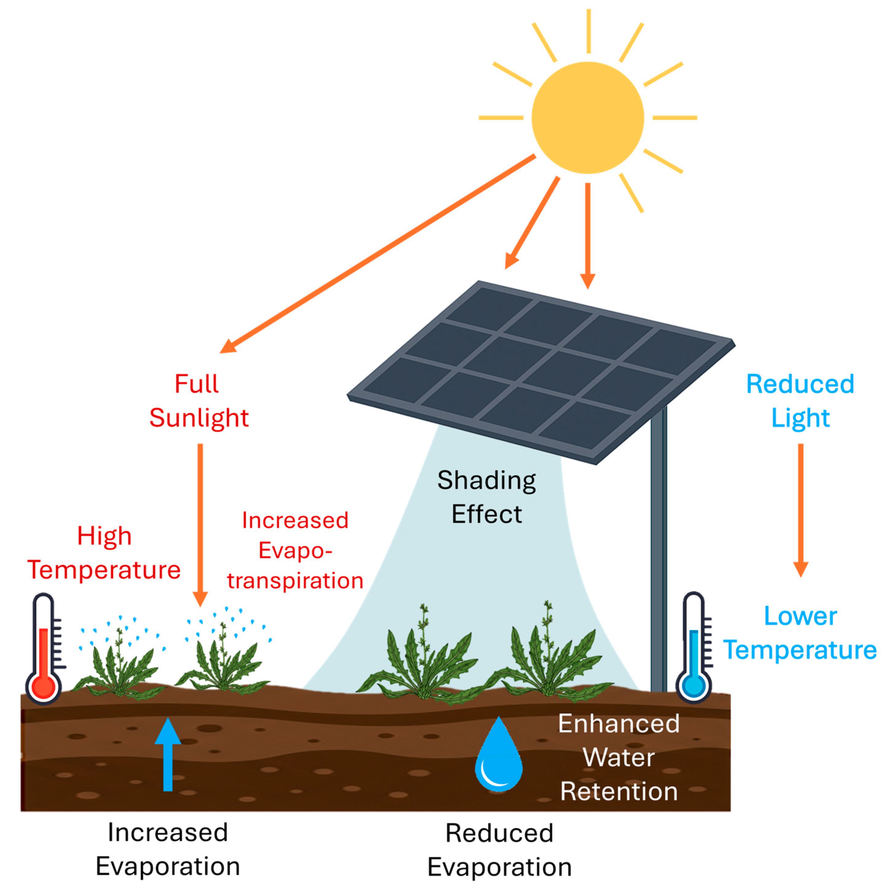Horticulturae 11 00401 g001