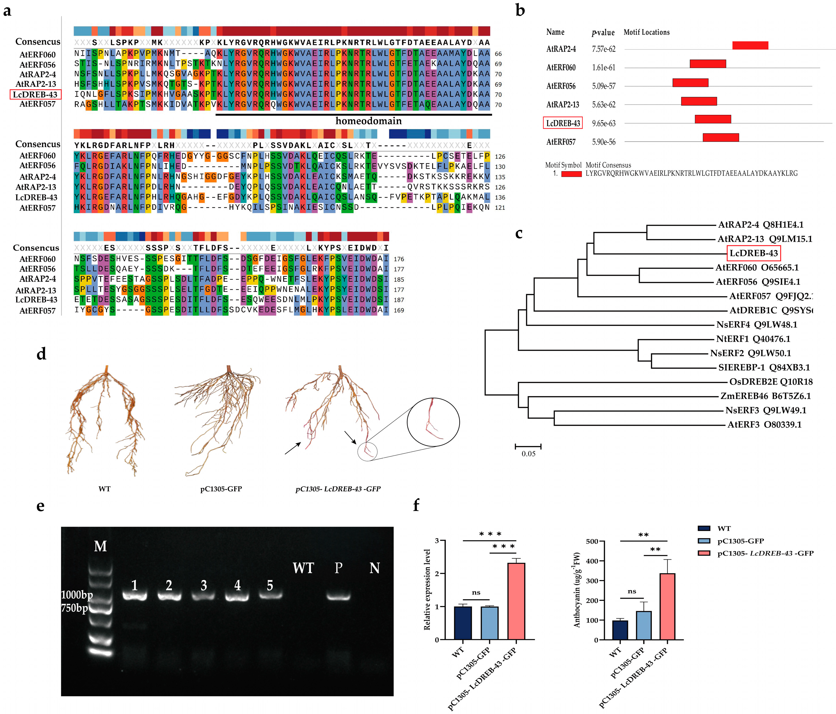 Horticulturae 11 00404 g003