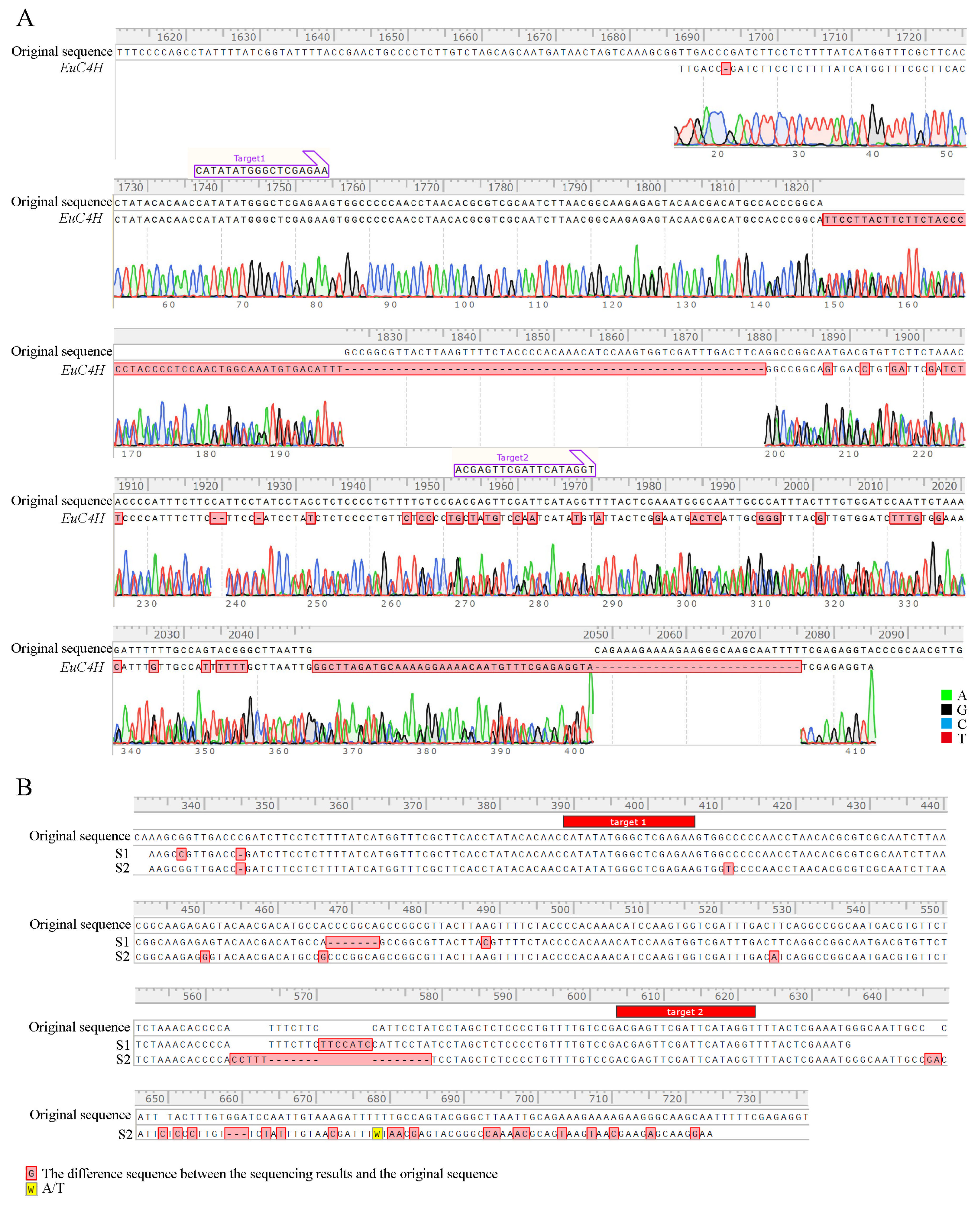 Horticulturae 11 00406 g007