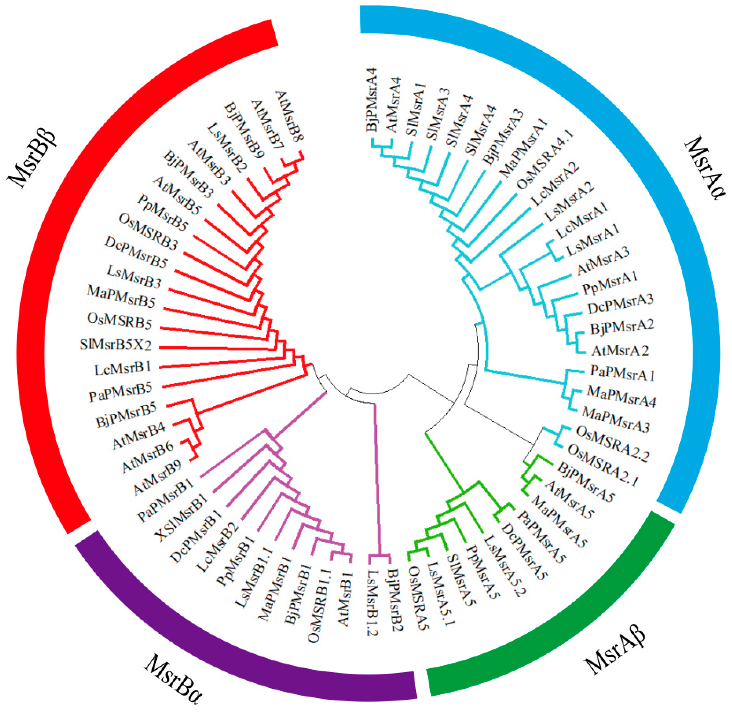 Horticulturae 11 00422 g003