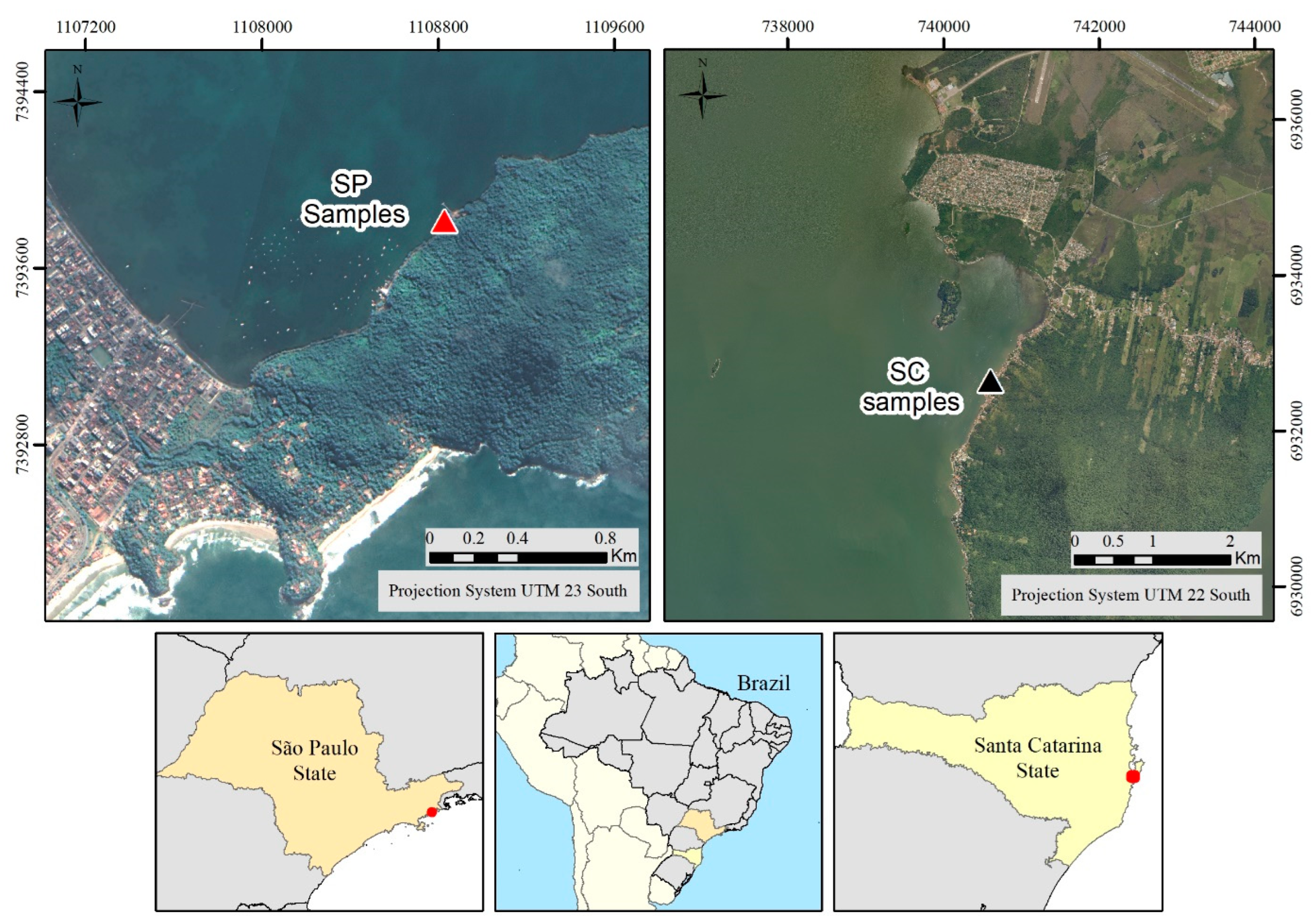 Horticulturae 11 00424 g001