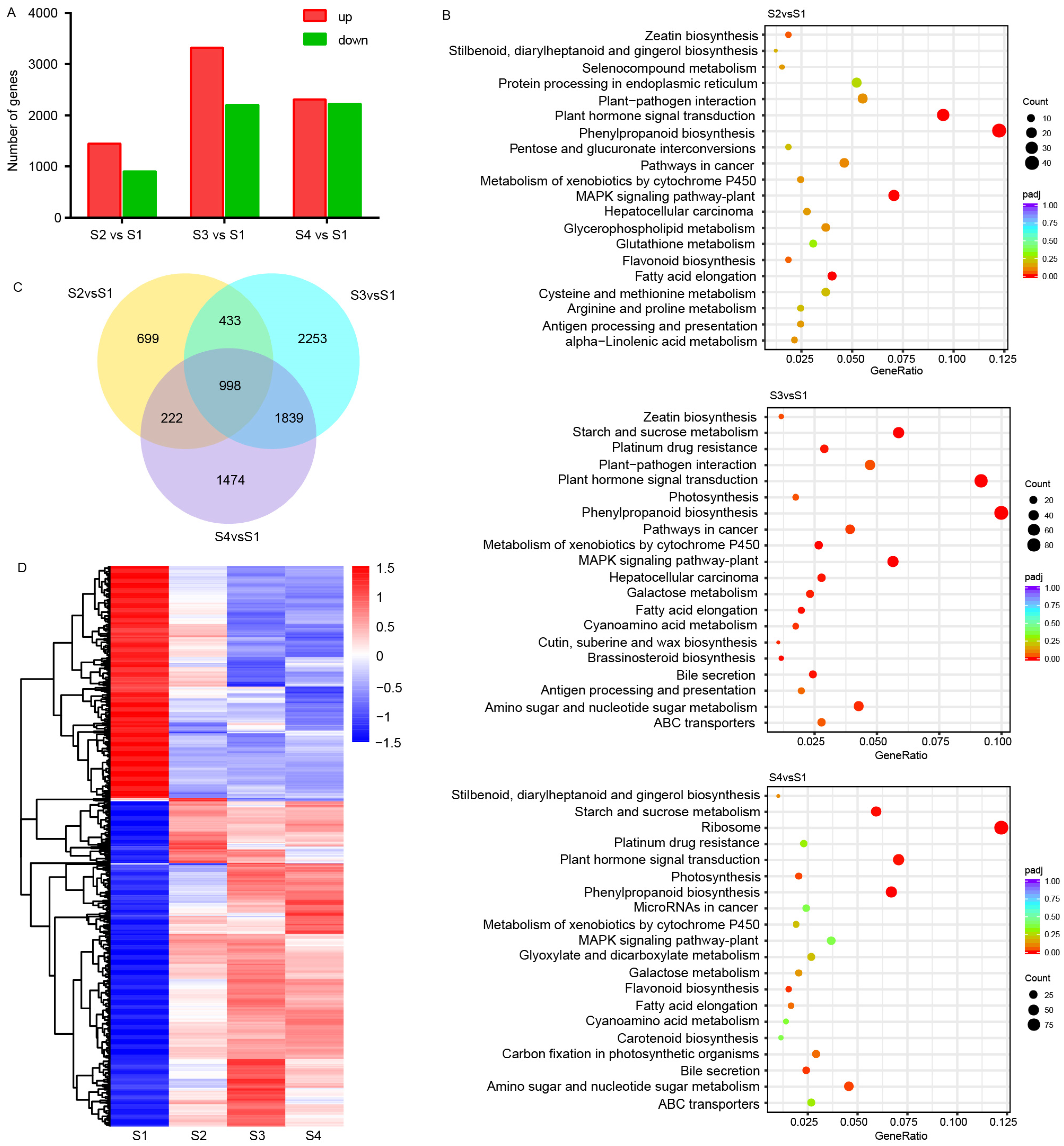 Horticulturae 11 00430 g002