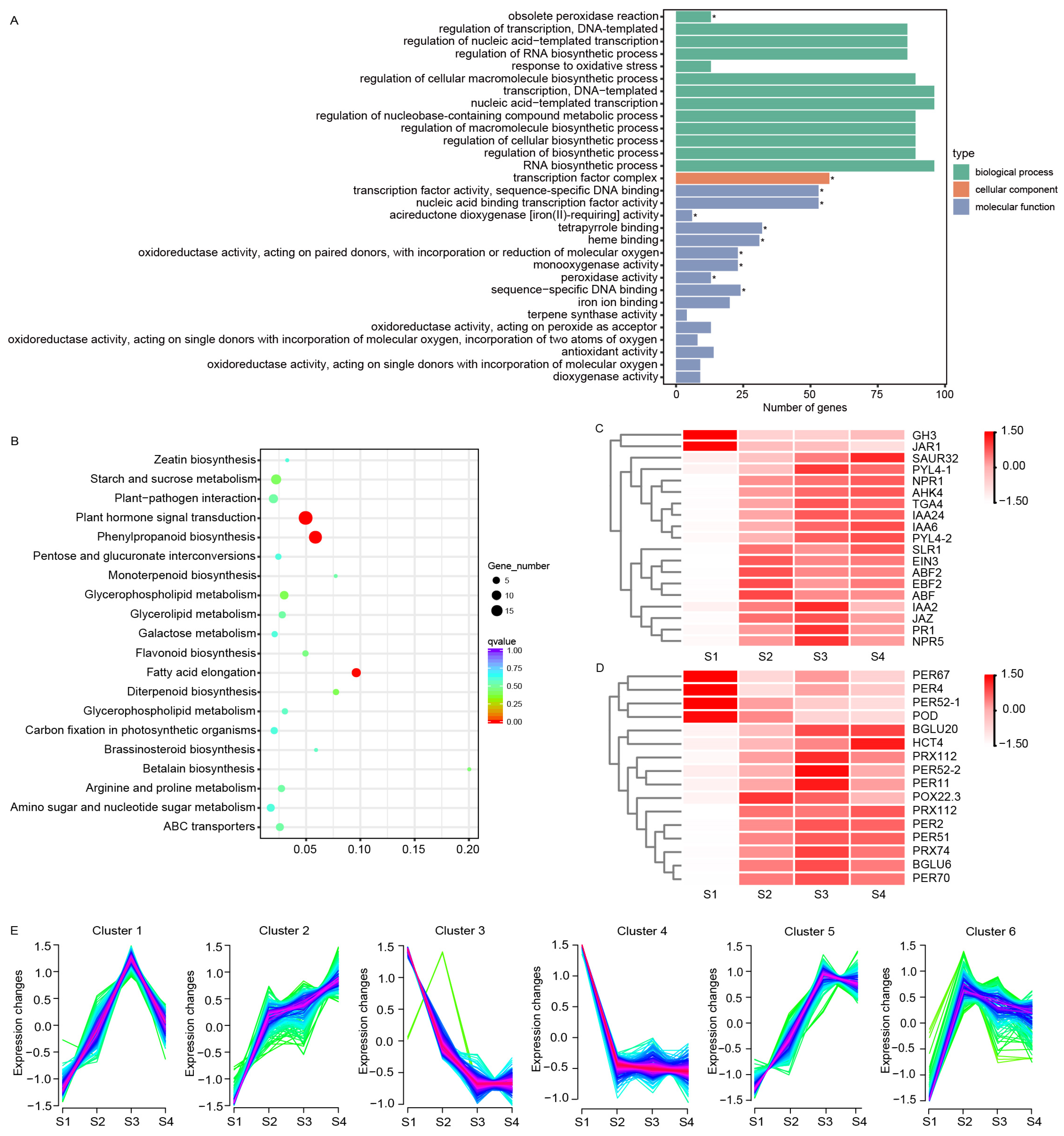 Horticulturae 11 00430 g003