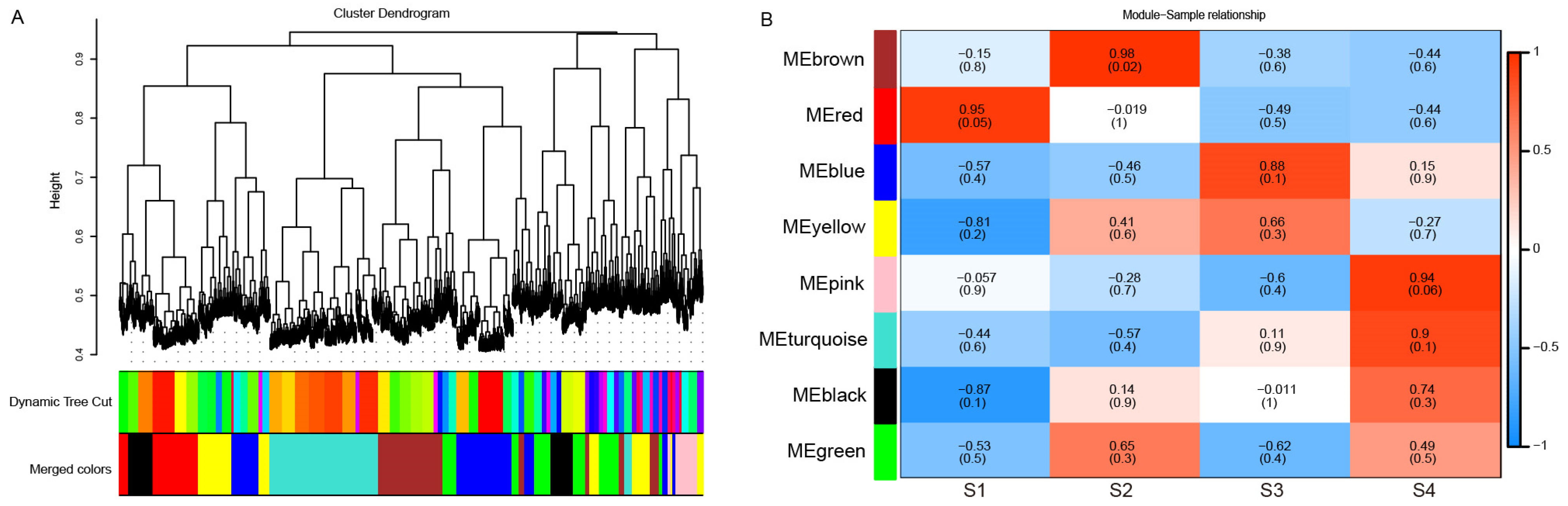 Horticulturae 11 00430 g004