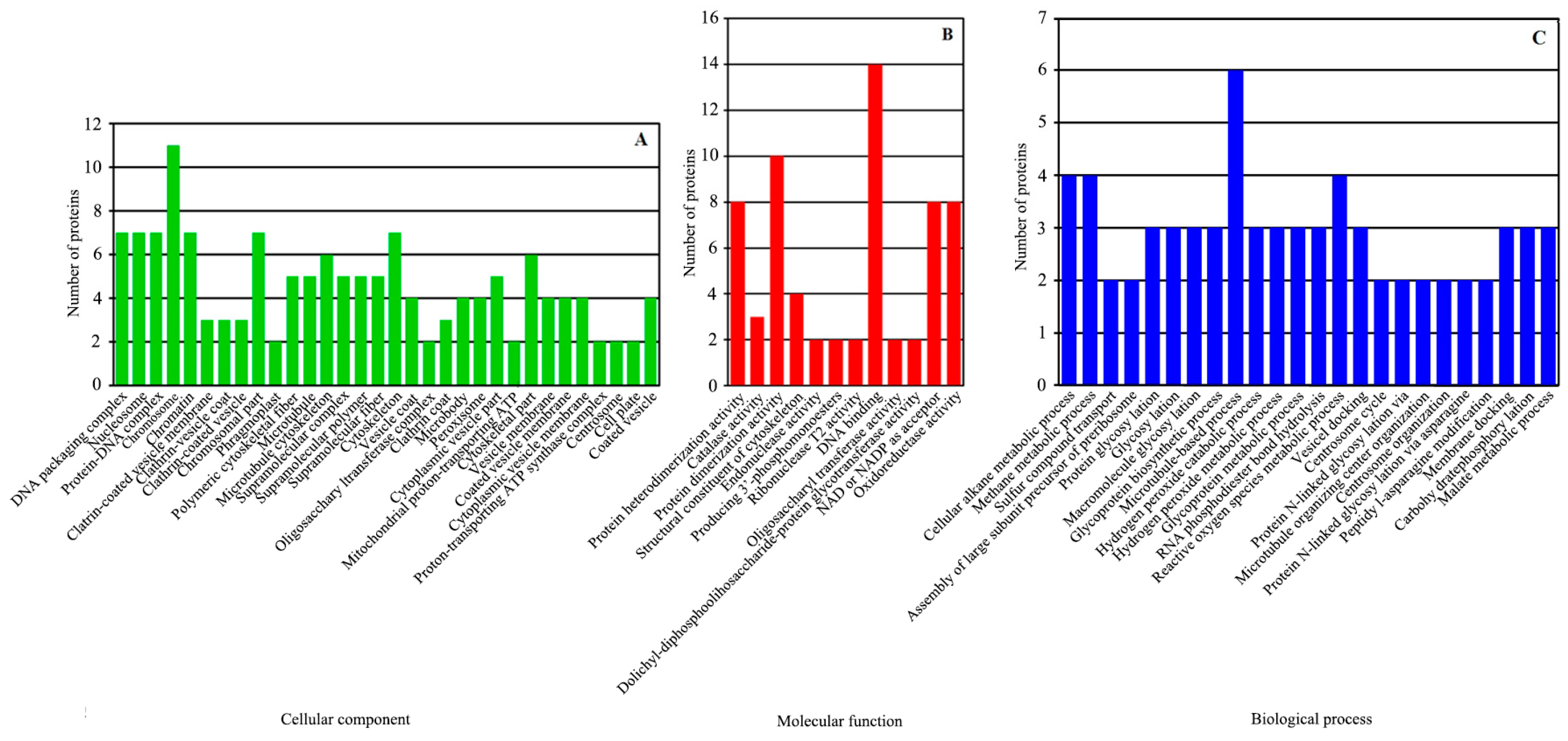 Horticulturae 11 00441 g004