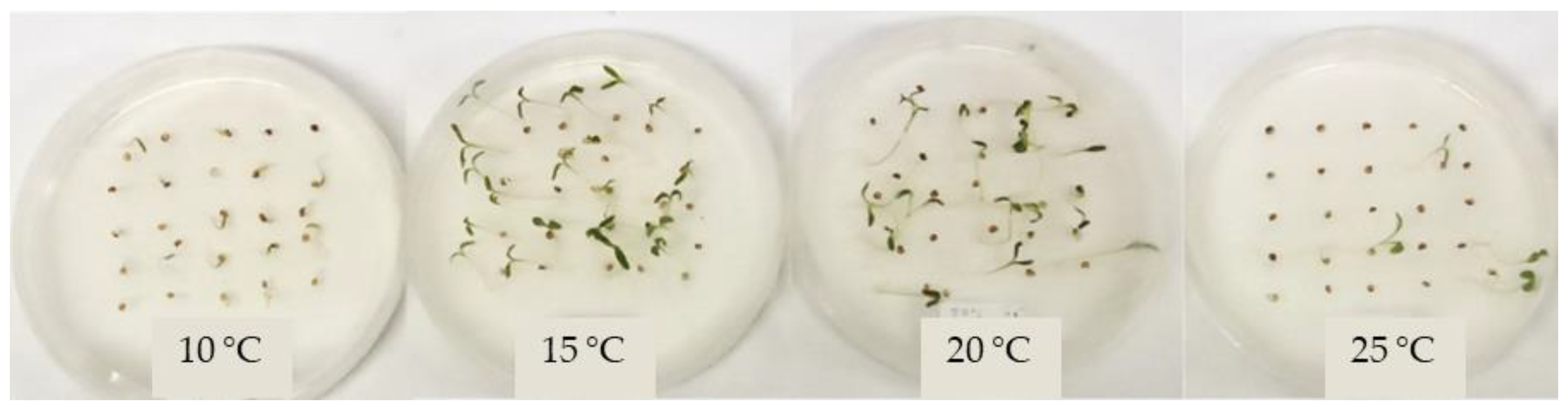 Horticulturae 11 00443 g003
