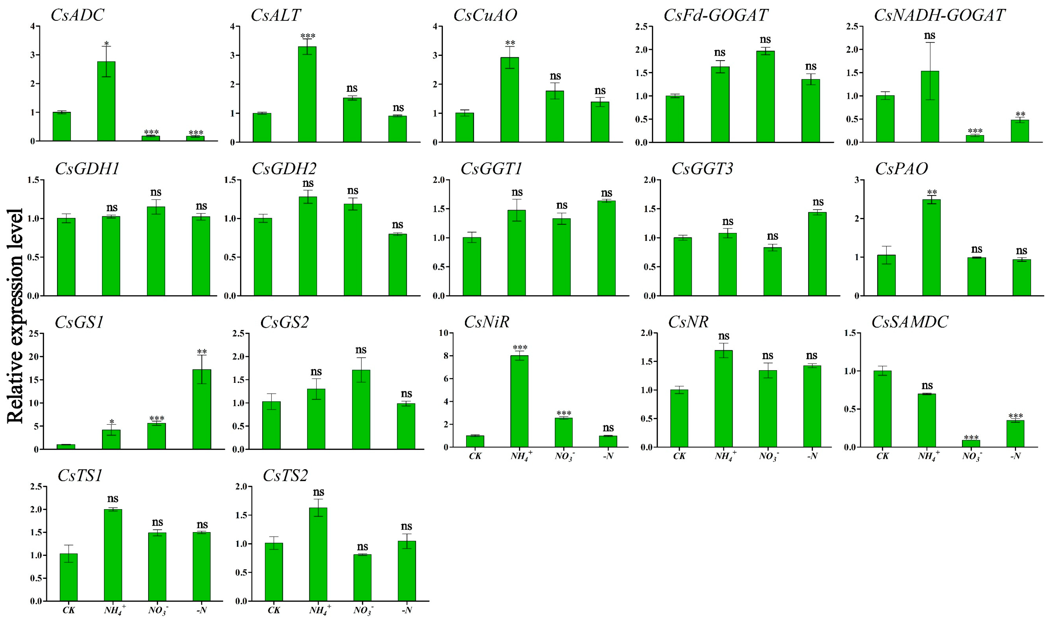 Horticulturae 11 00444 g004