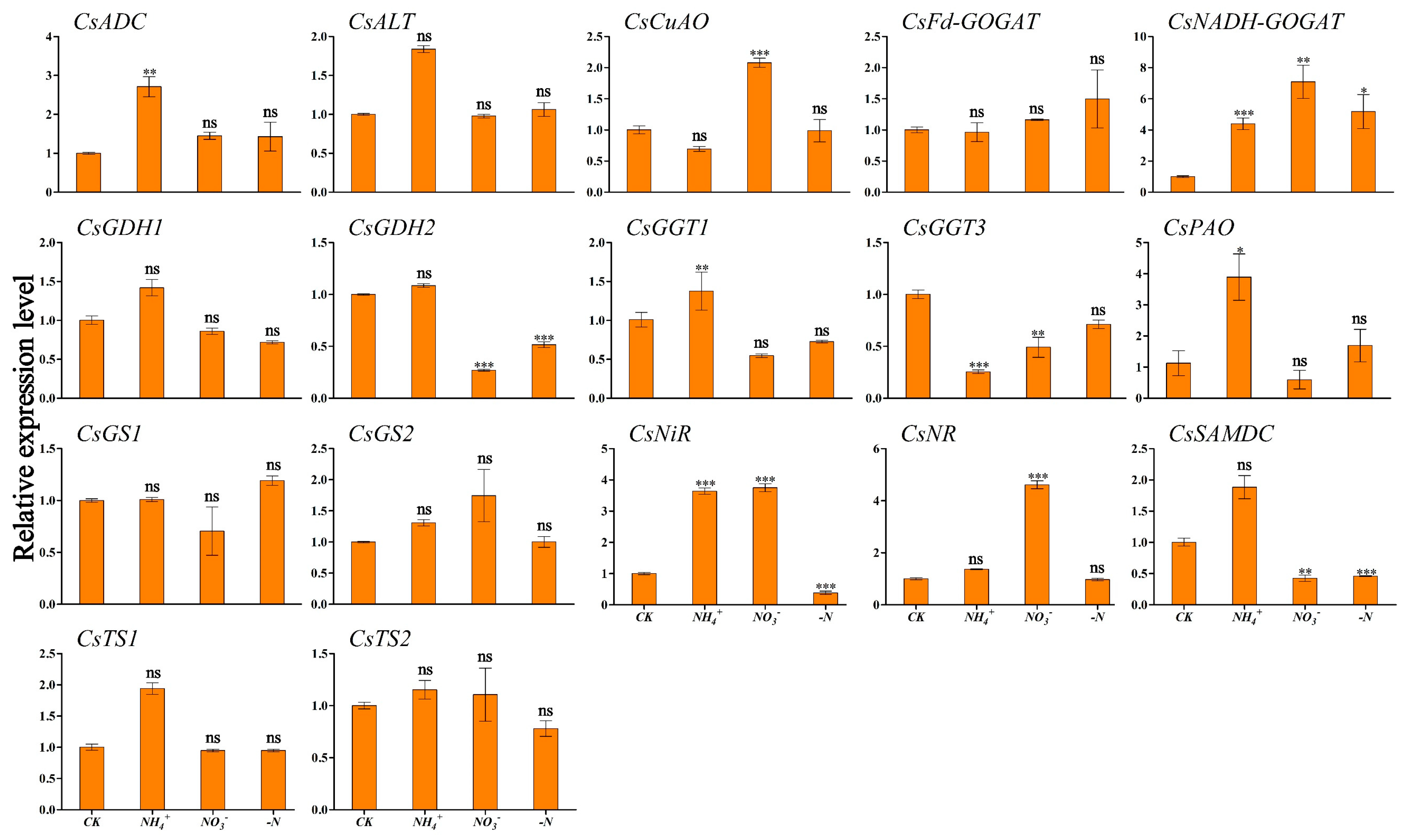 Horticulturae 11 00444 g005