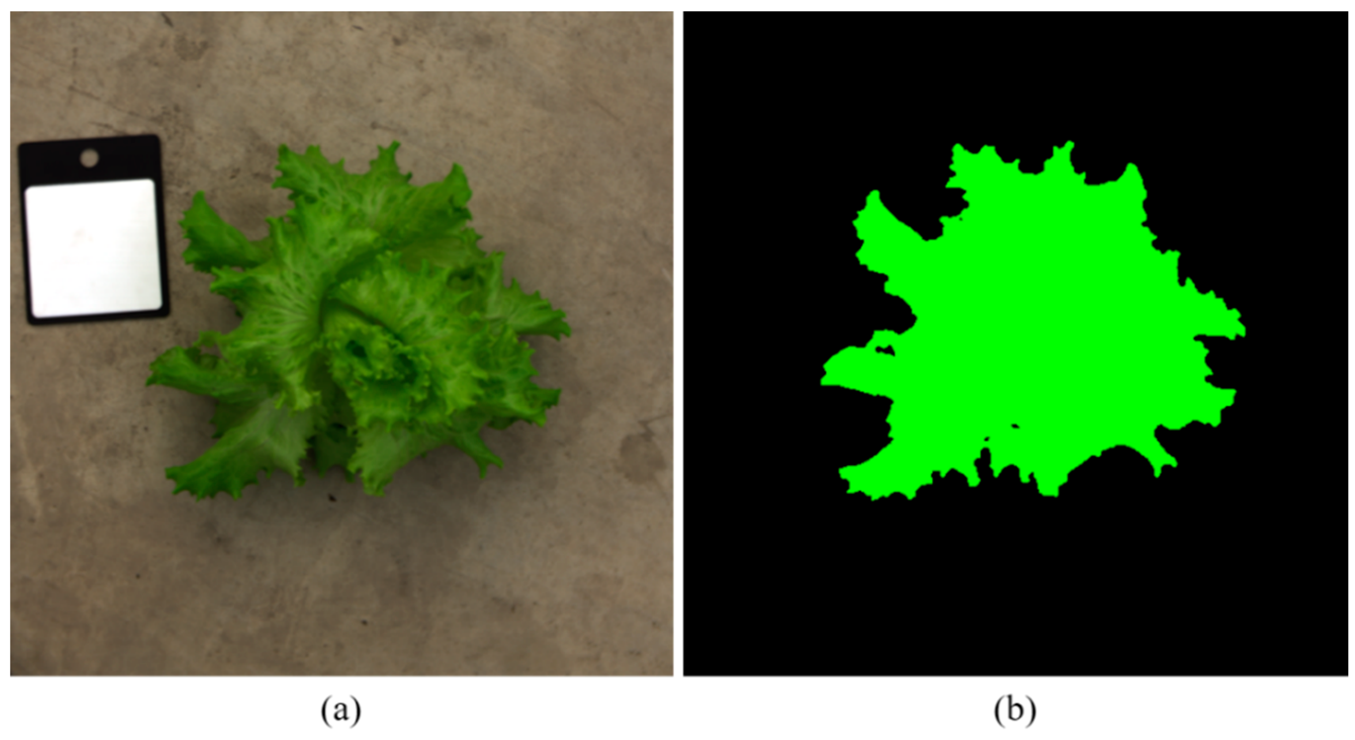 Horticulturae 11 00451 g002
