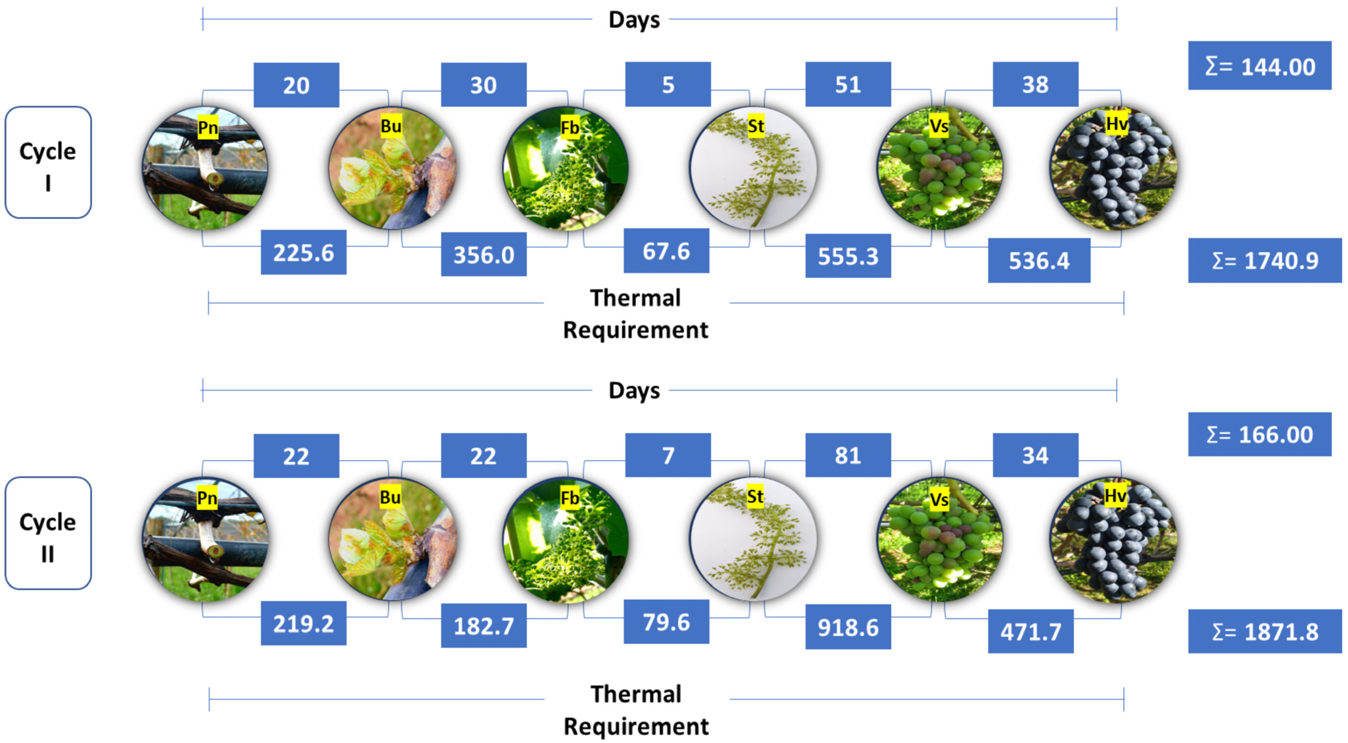 Horticulturae 11 00466 g002