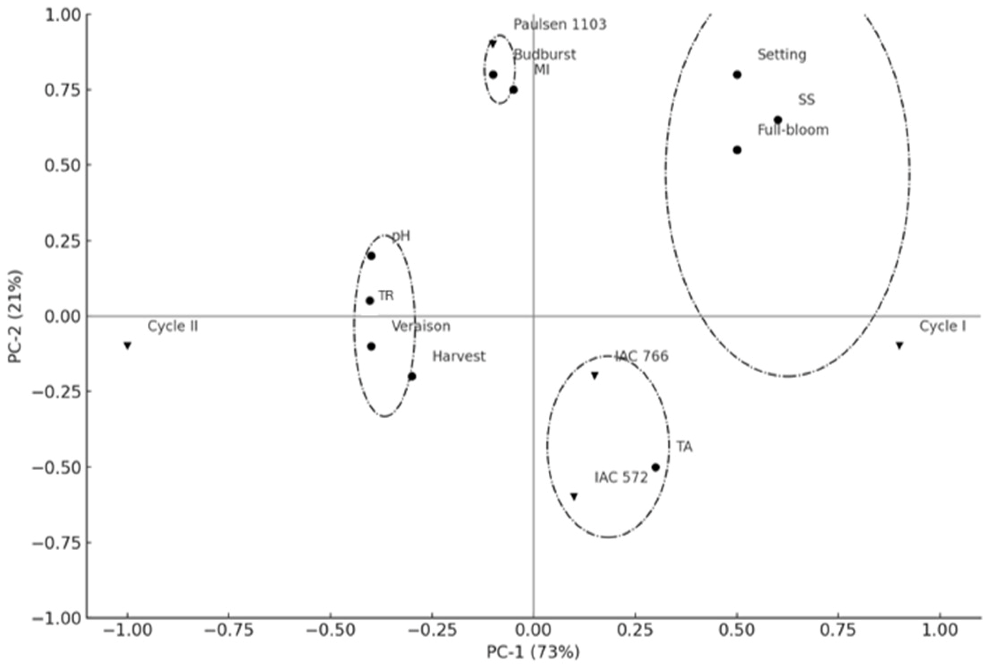 Horticulturae 11 00466 g007