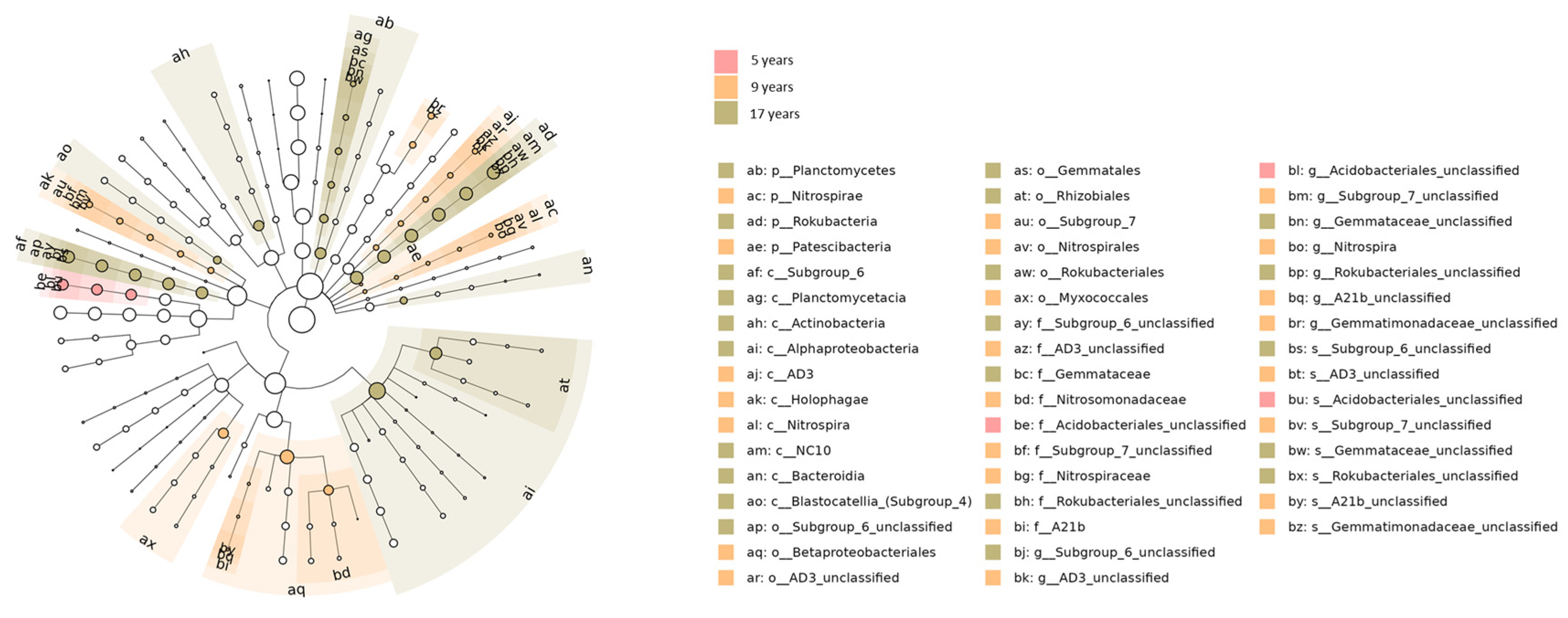 Horticulturae 11 00467 g005