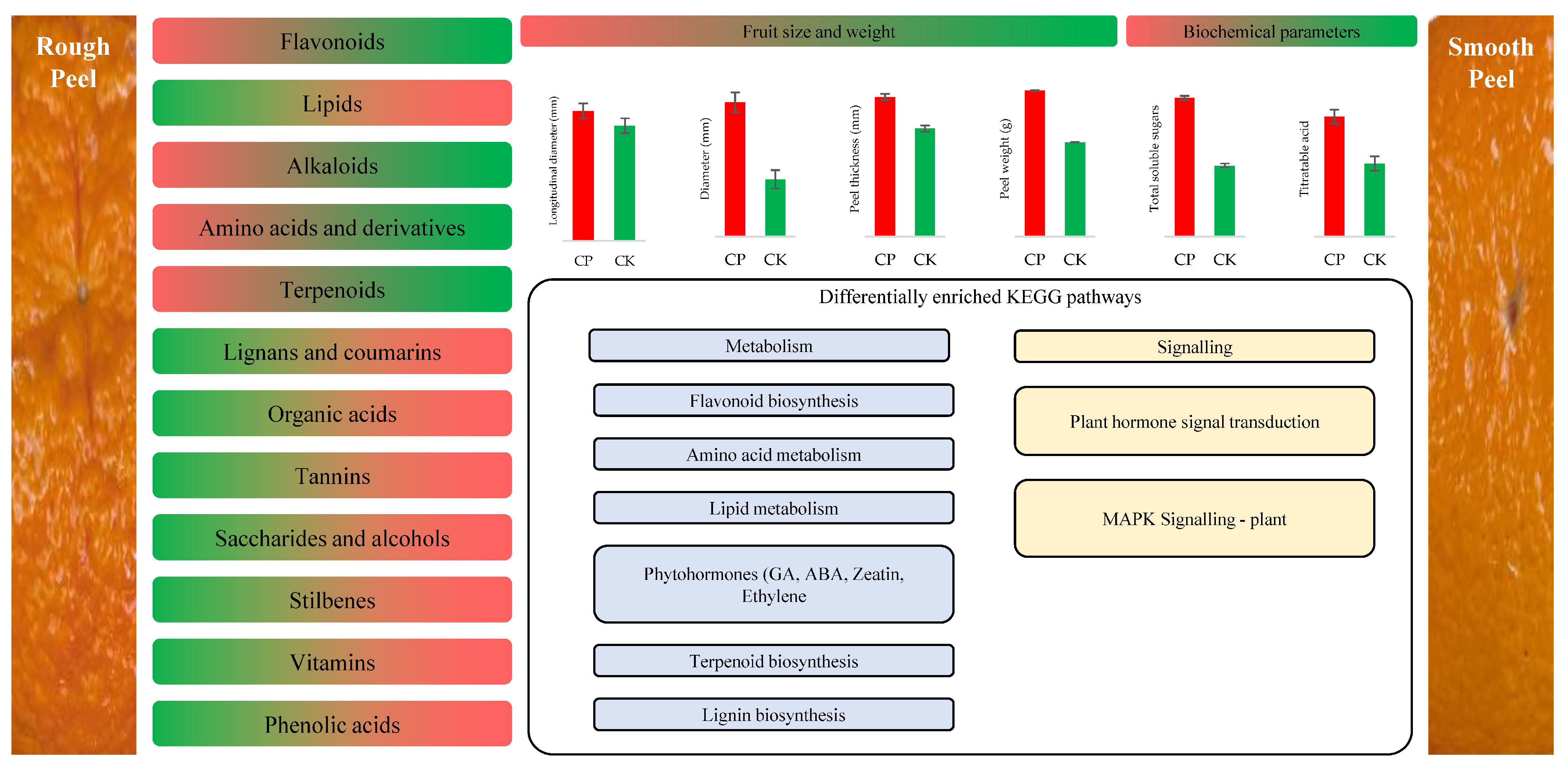 Horticulturae 11 00496 g005