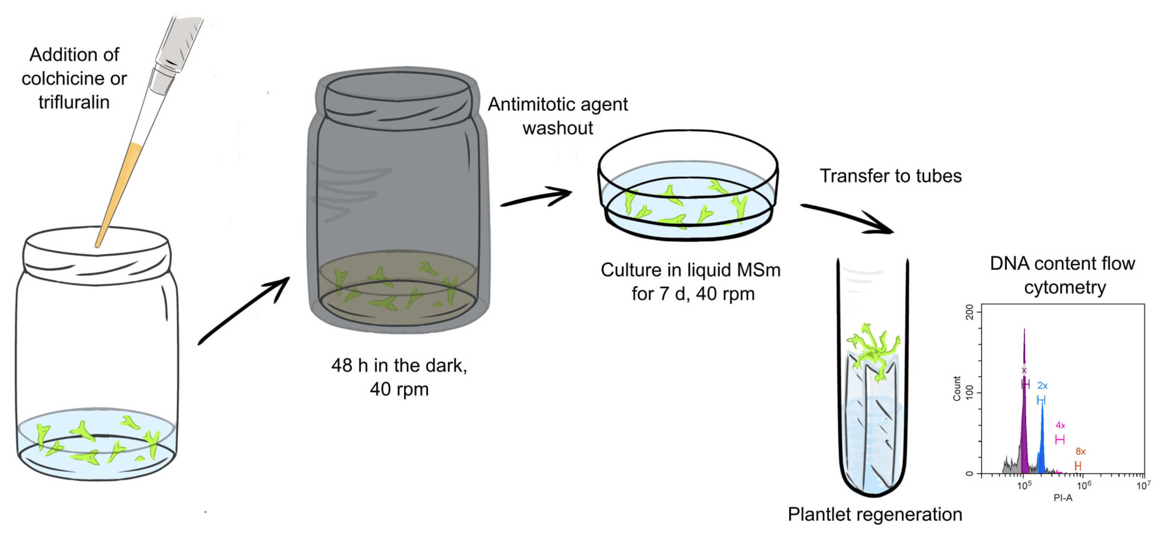 Horticulturae 11 00505 g001