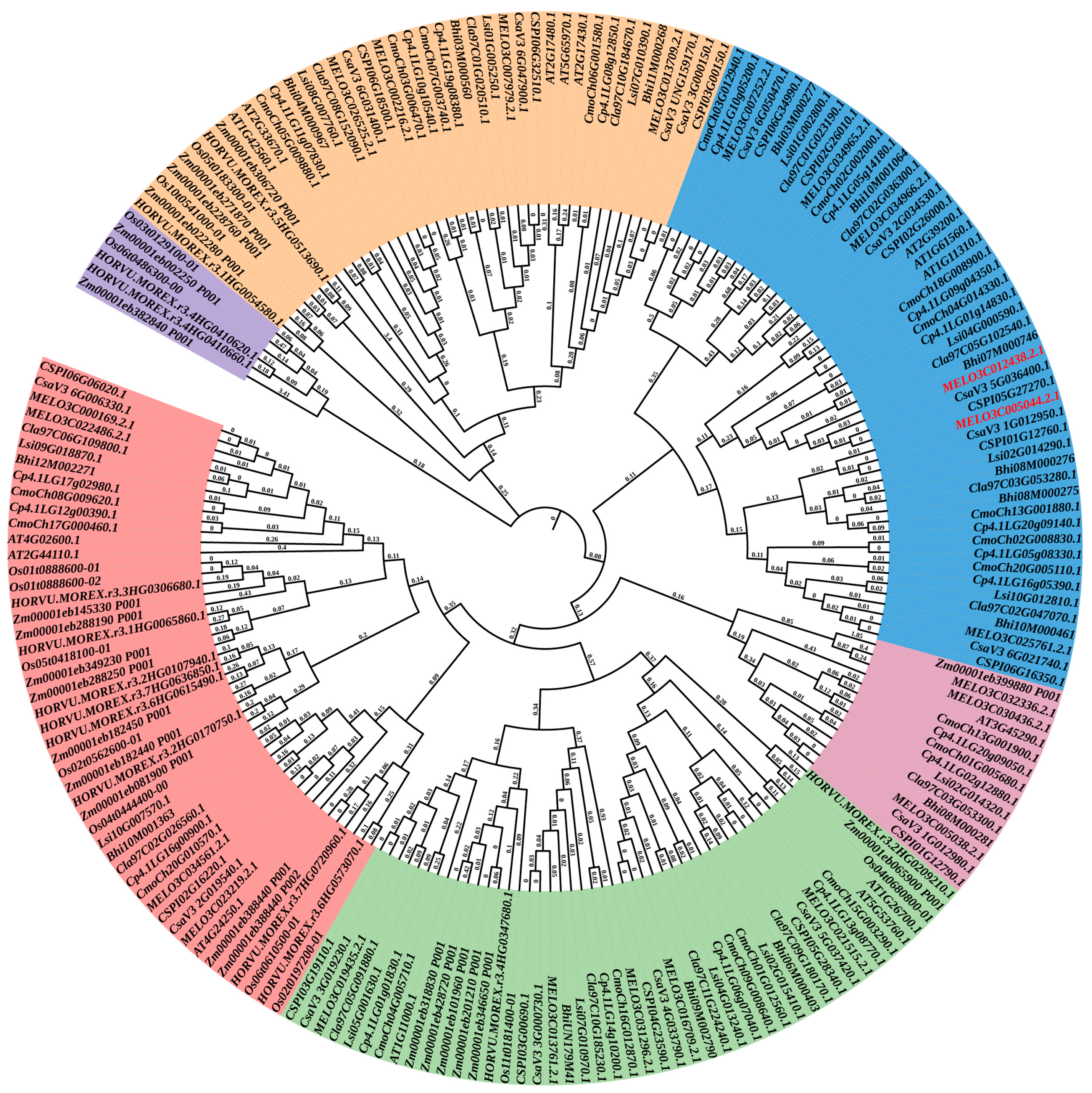 Horticulturae 11 00509 g002