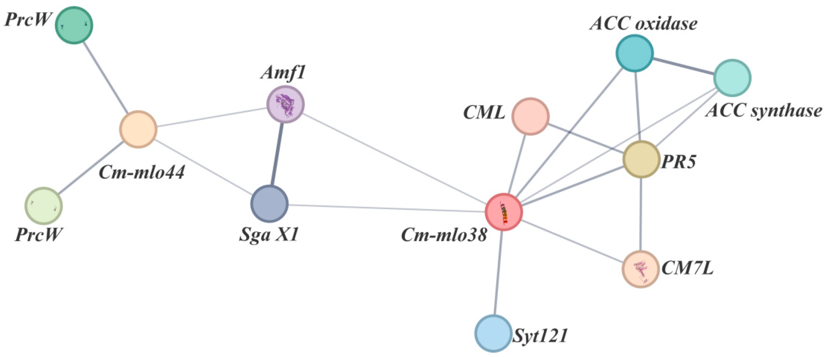 Horticulturae 11 00509 g008