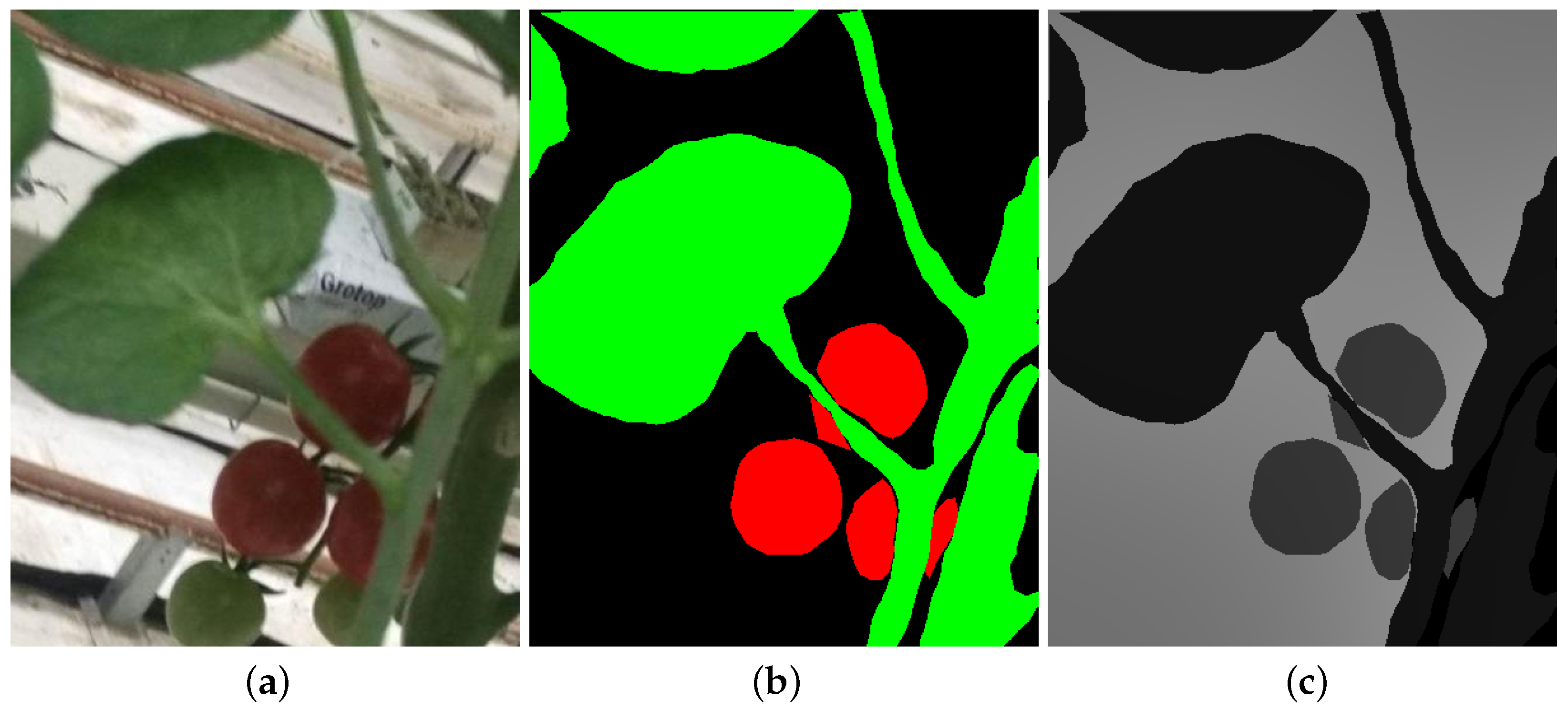 Horticulturae 11 00514 g001
