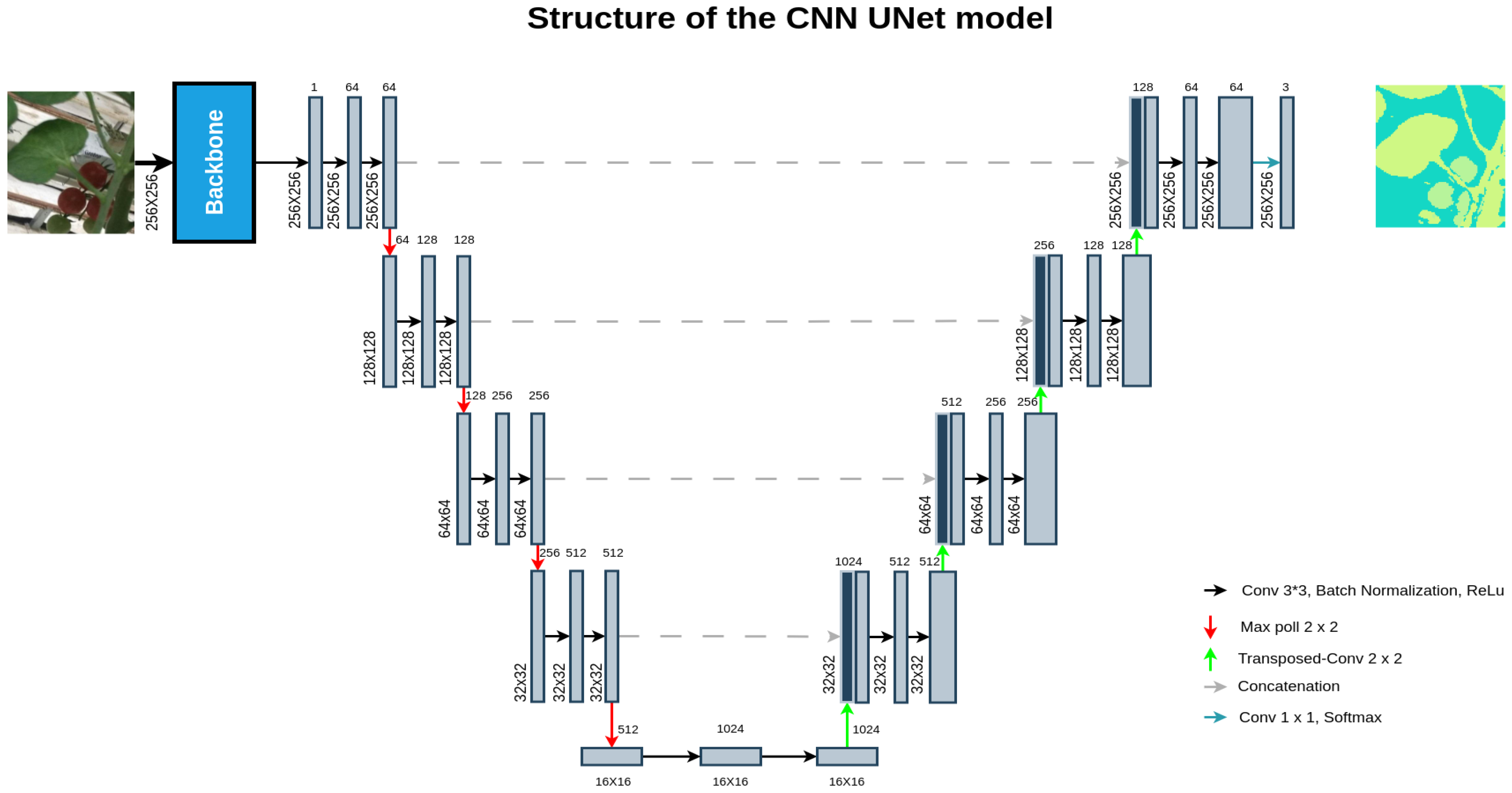 Horticulturae 11 00514 g004