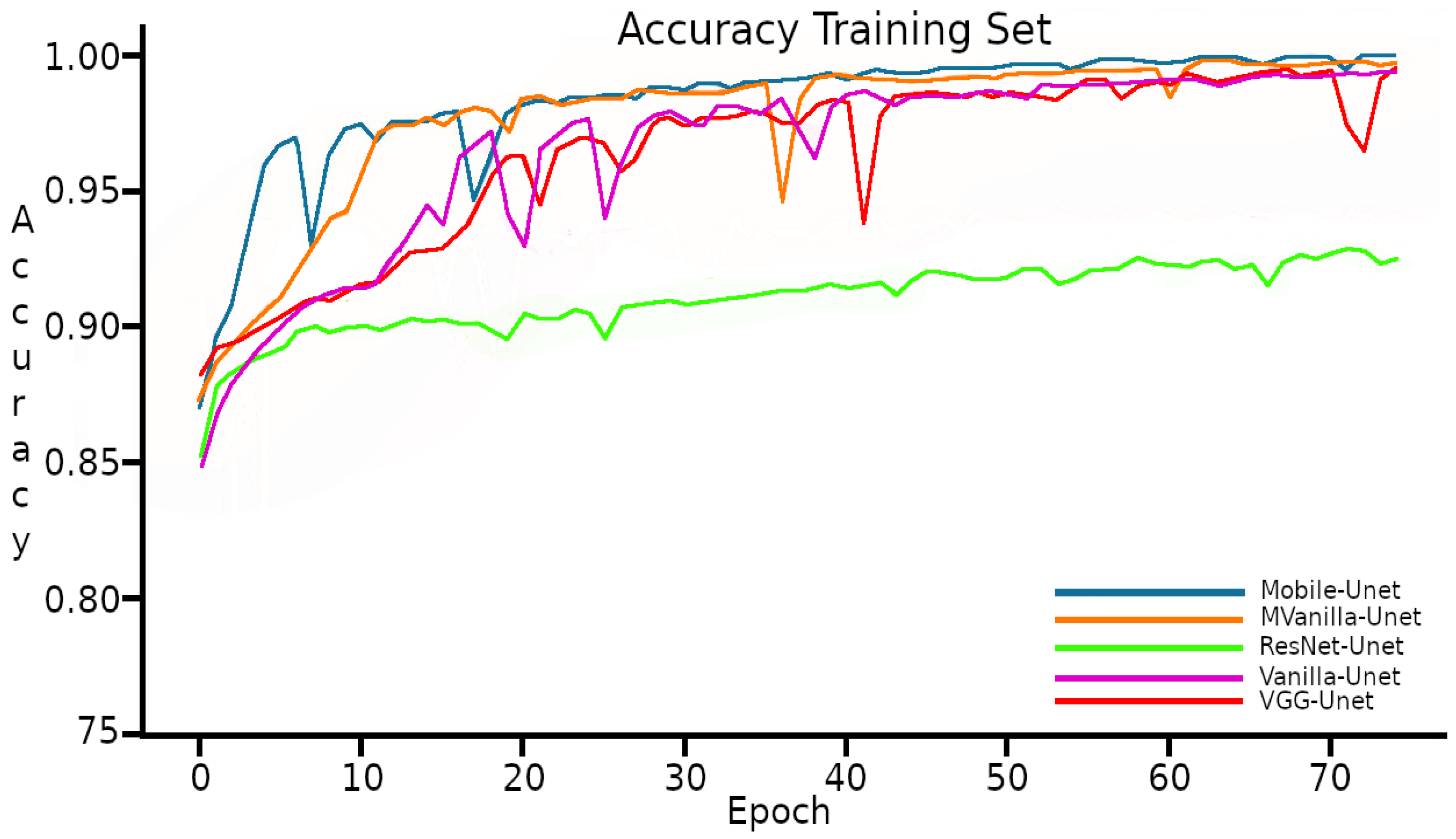 Horticulturae 11 00514 g005