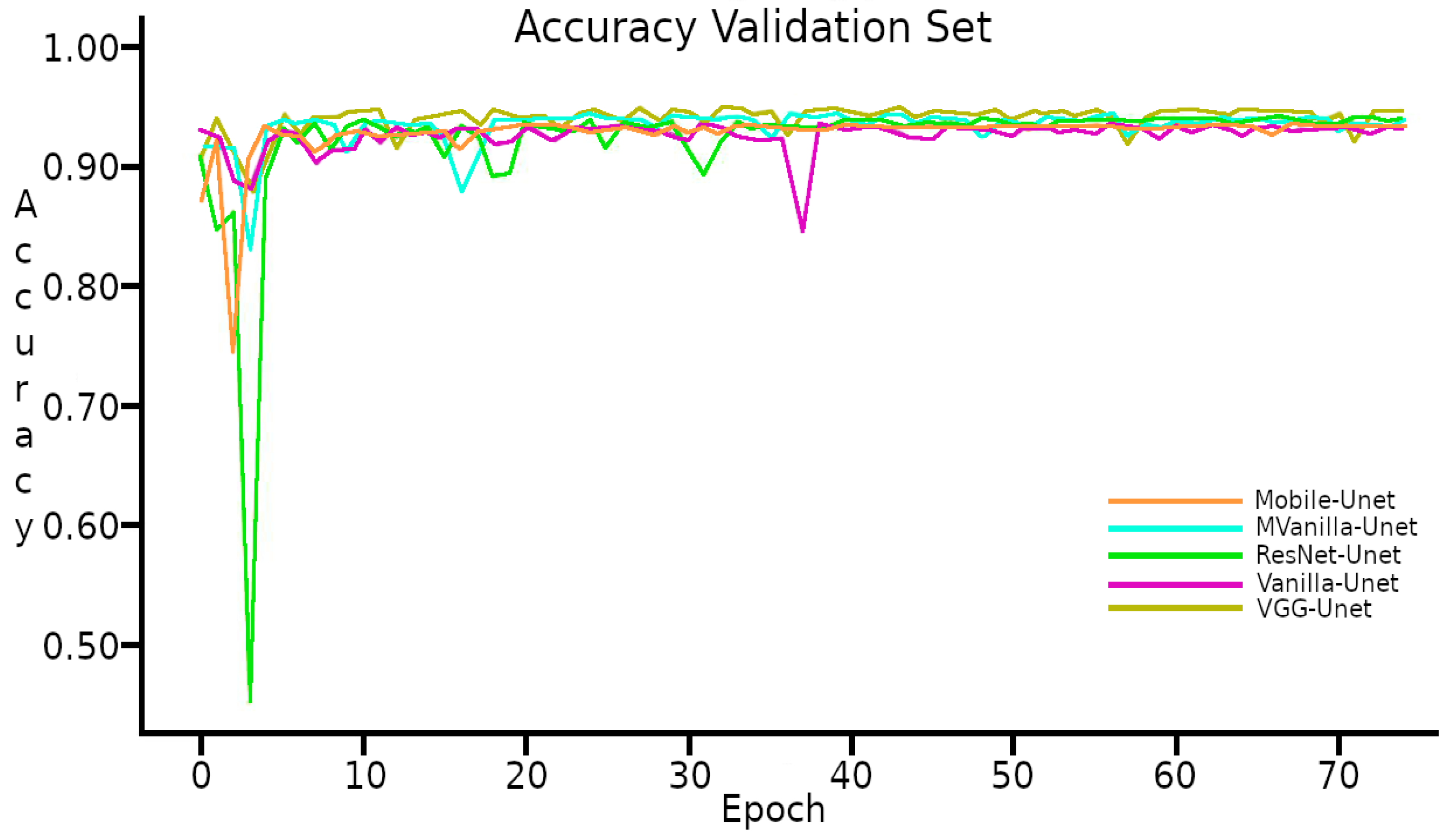 Horticulturae 11 00514 g006