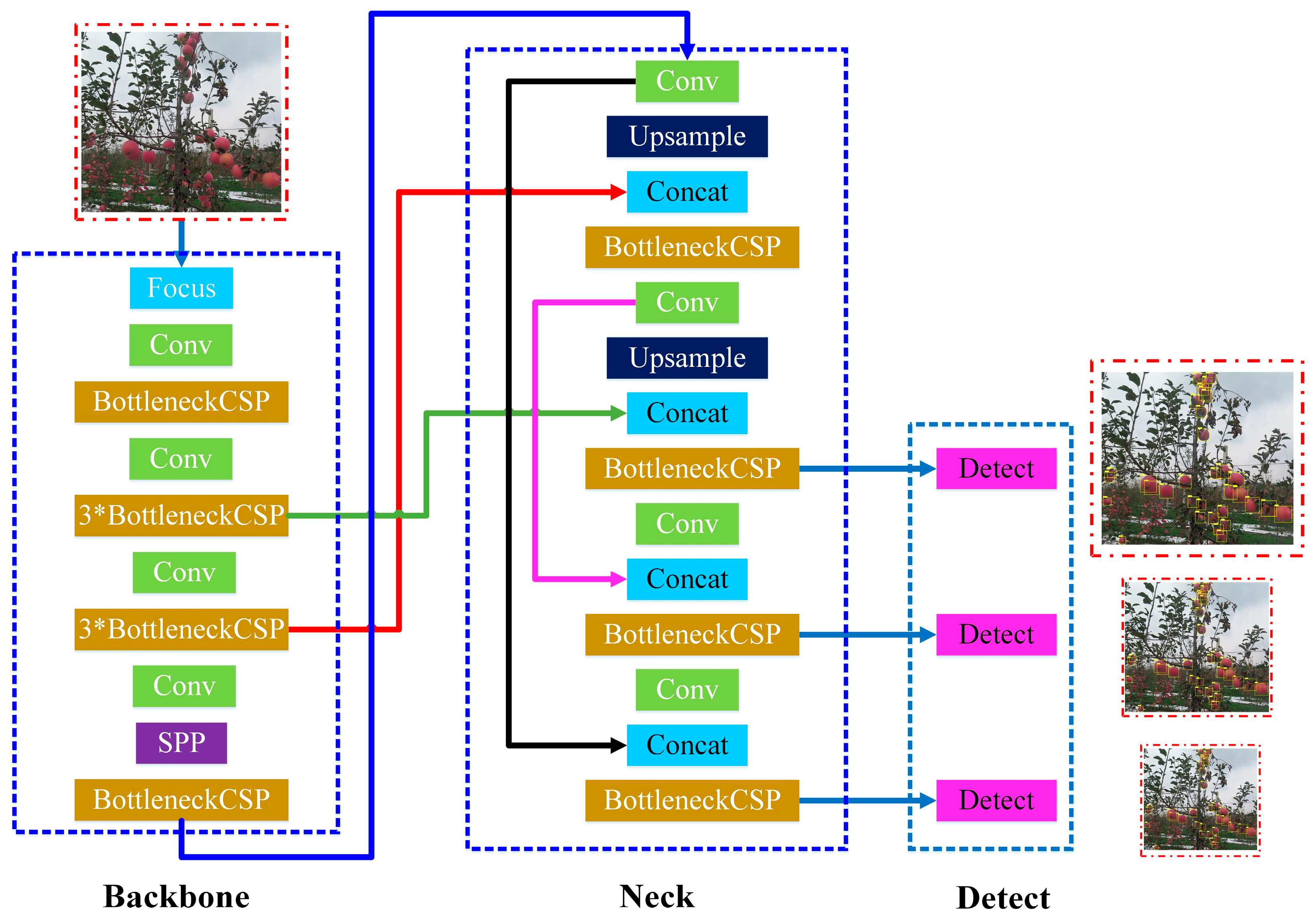 Horticulturae 11 00541 g003