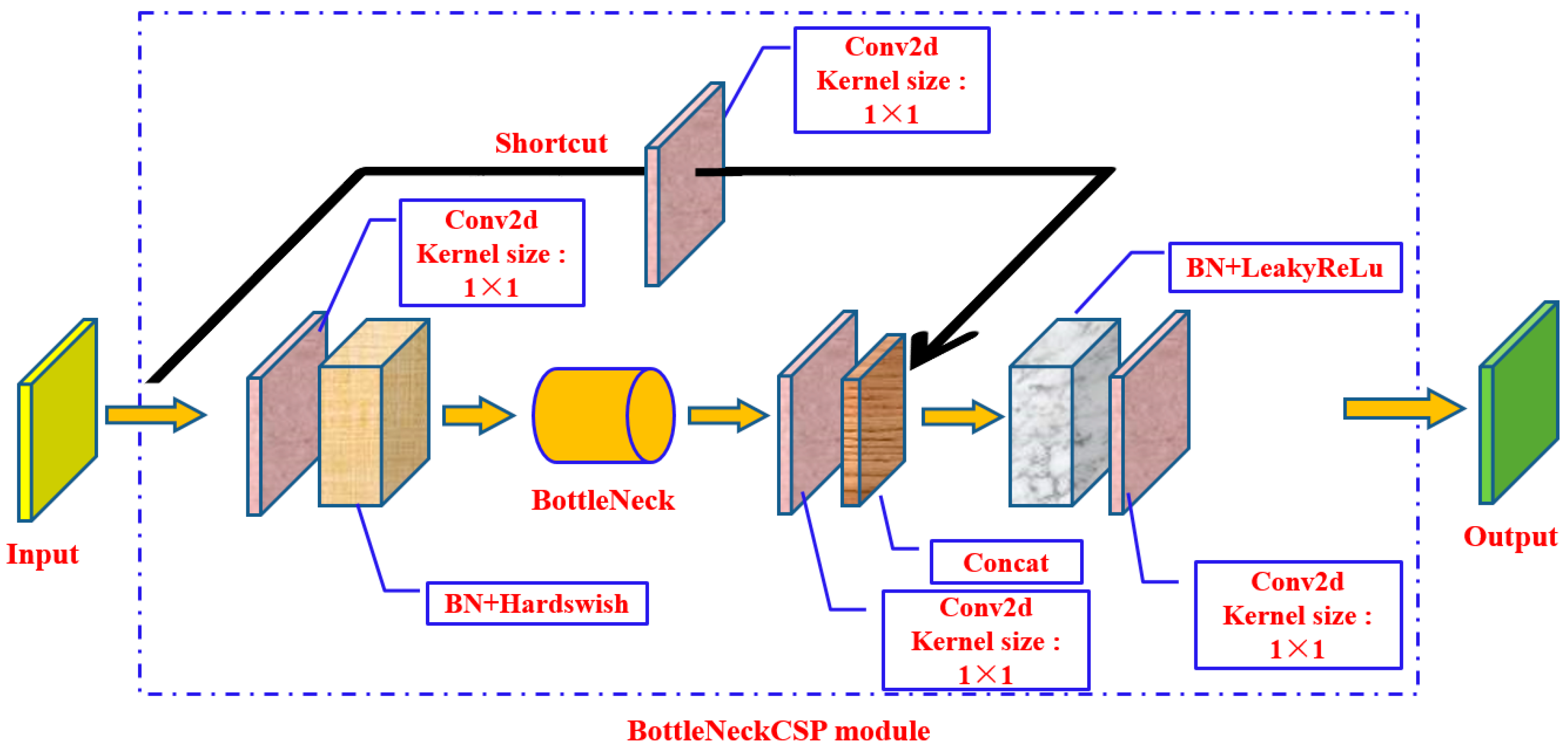 Horticulturae 11 00541 g005