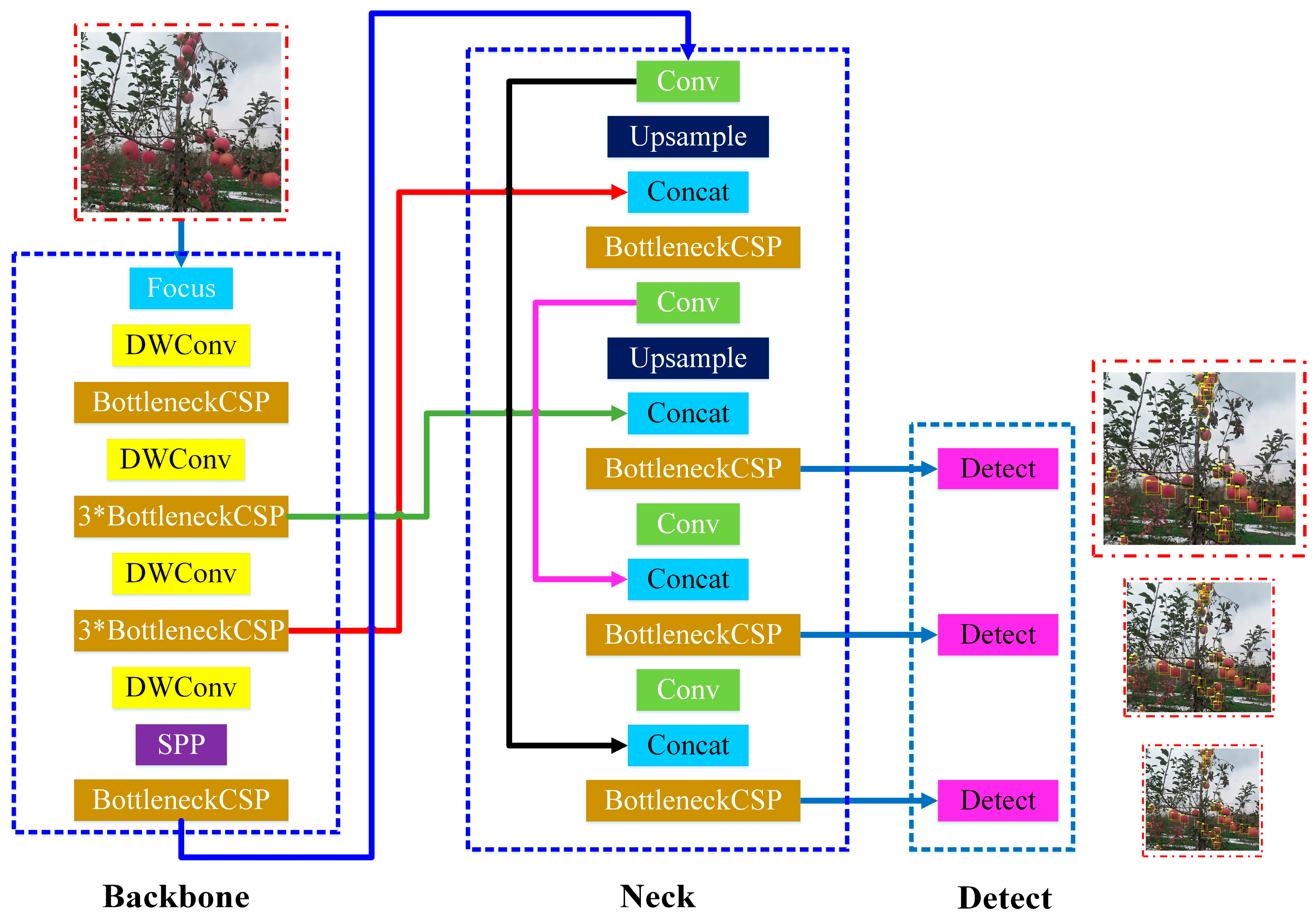 Horticulturae 11 00541 g008