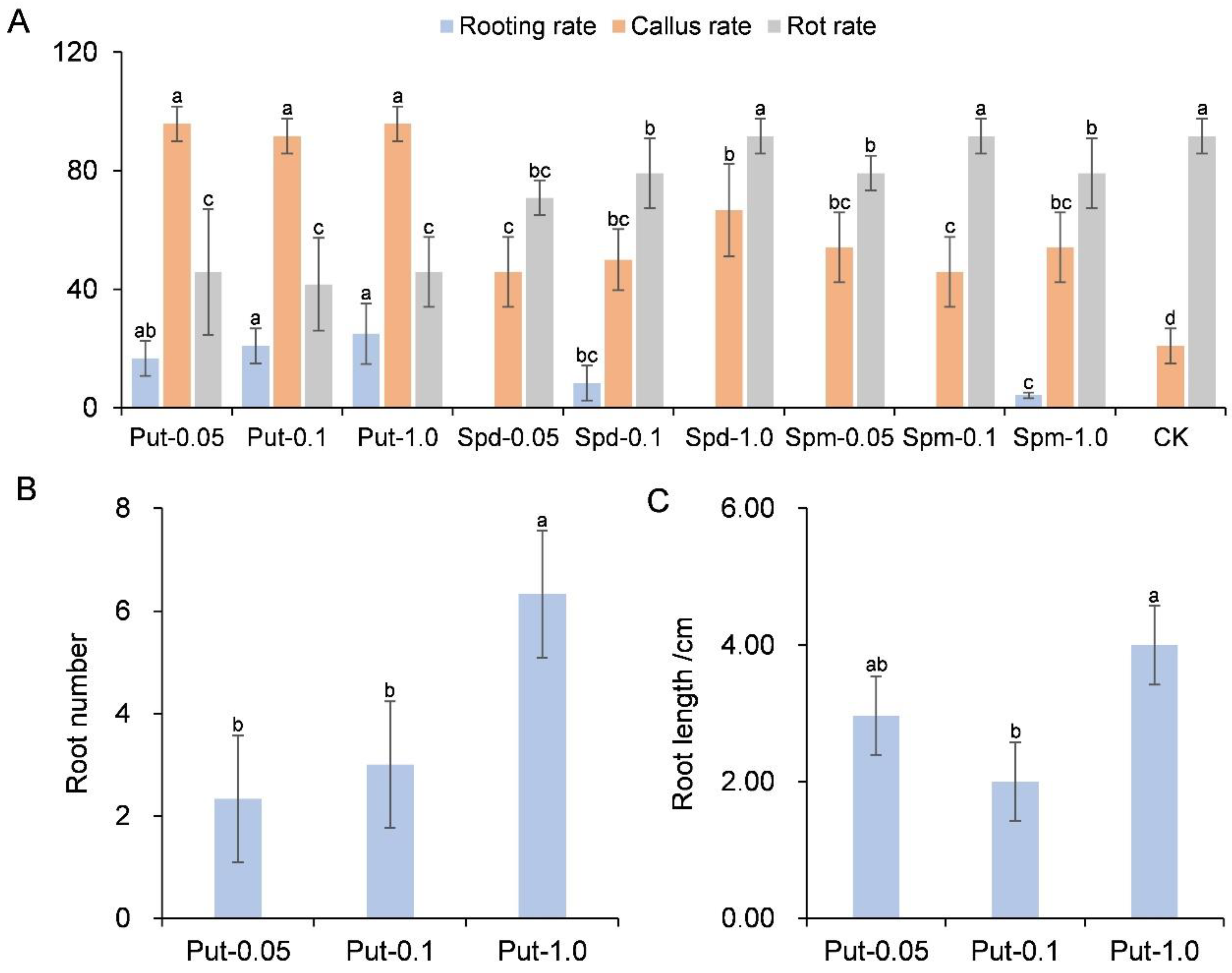 Horticulturae 11 00552 g002