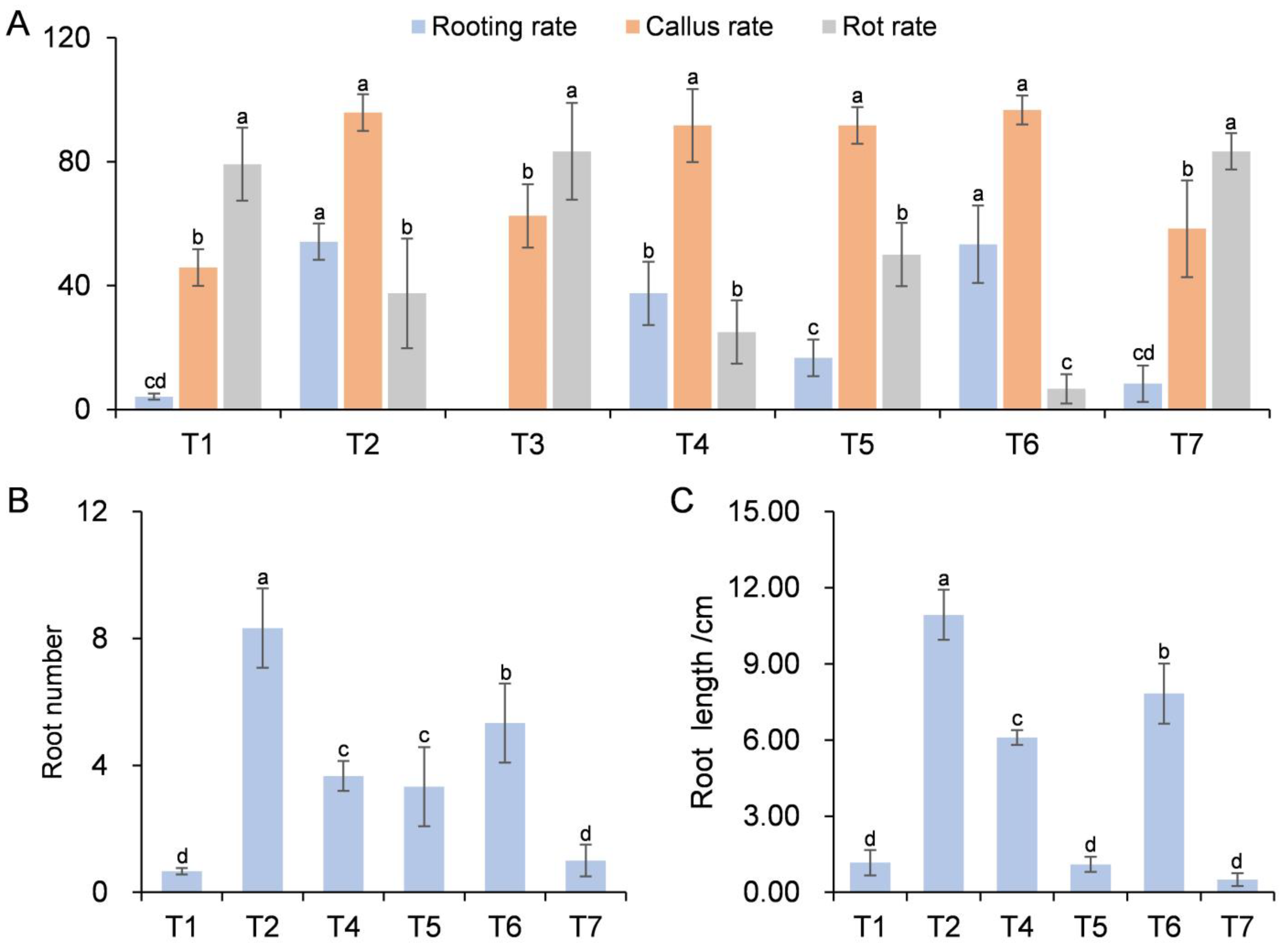 Horticulturae 11 00552 g003