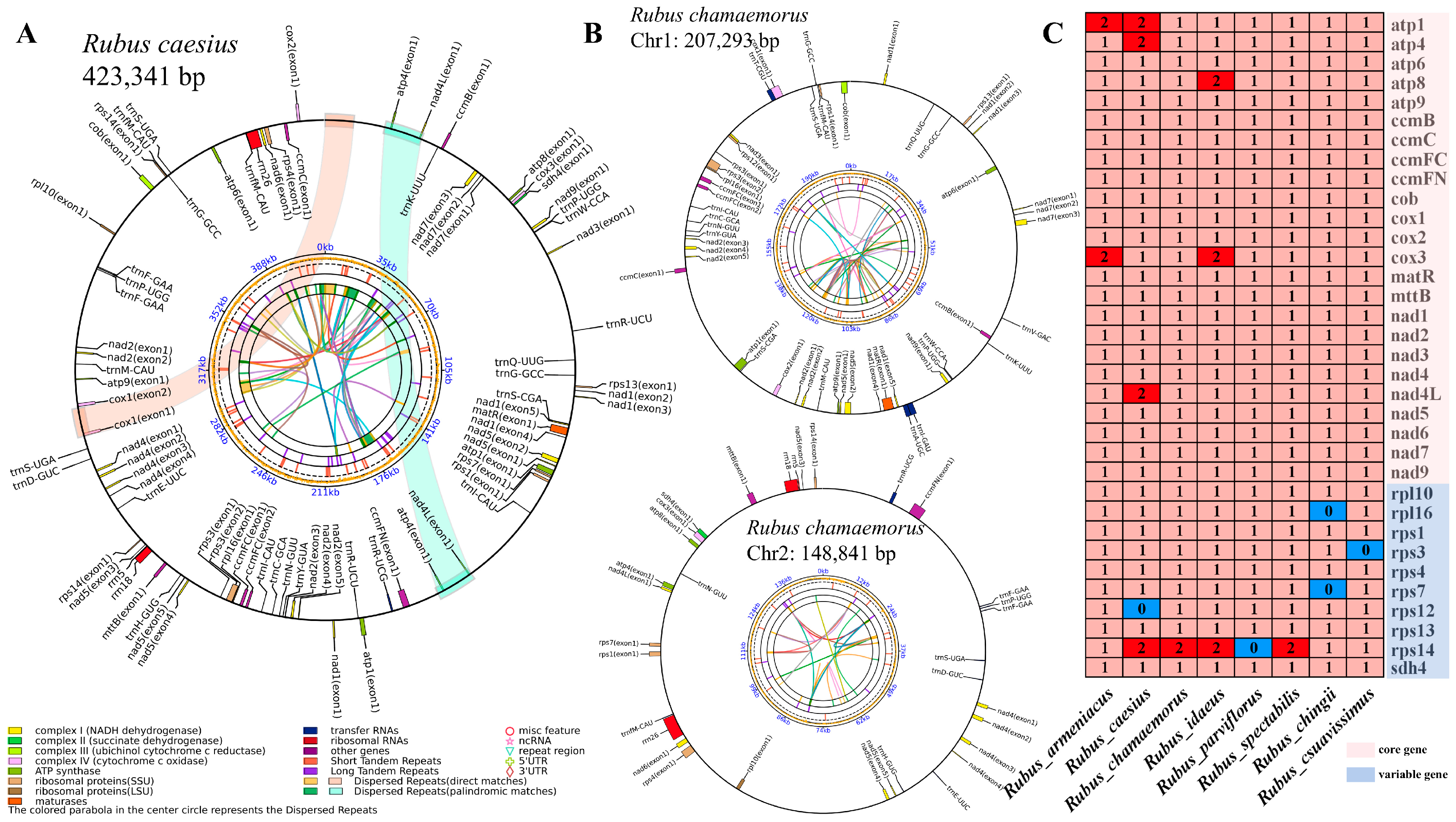 Horticulturae 11 00559 g001
