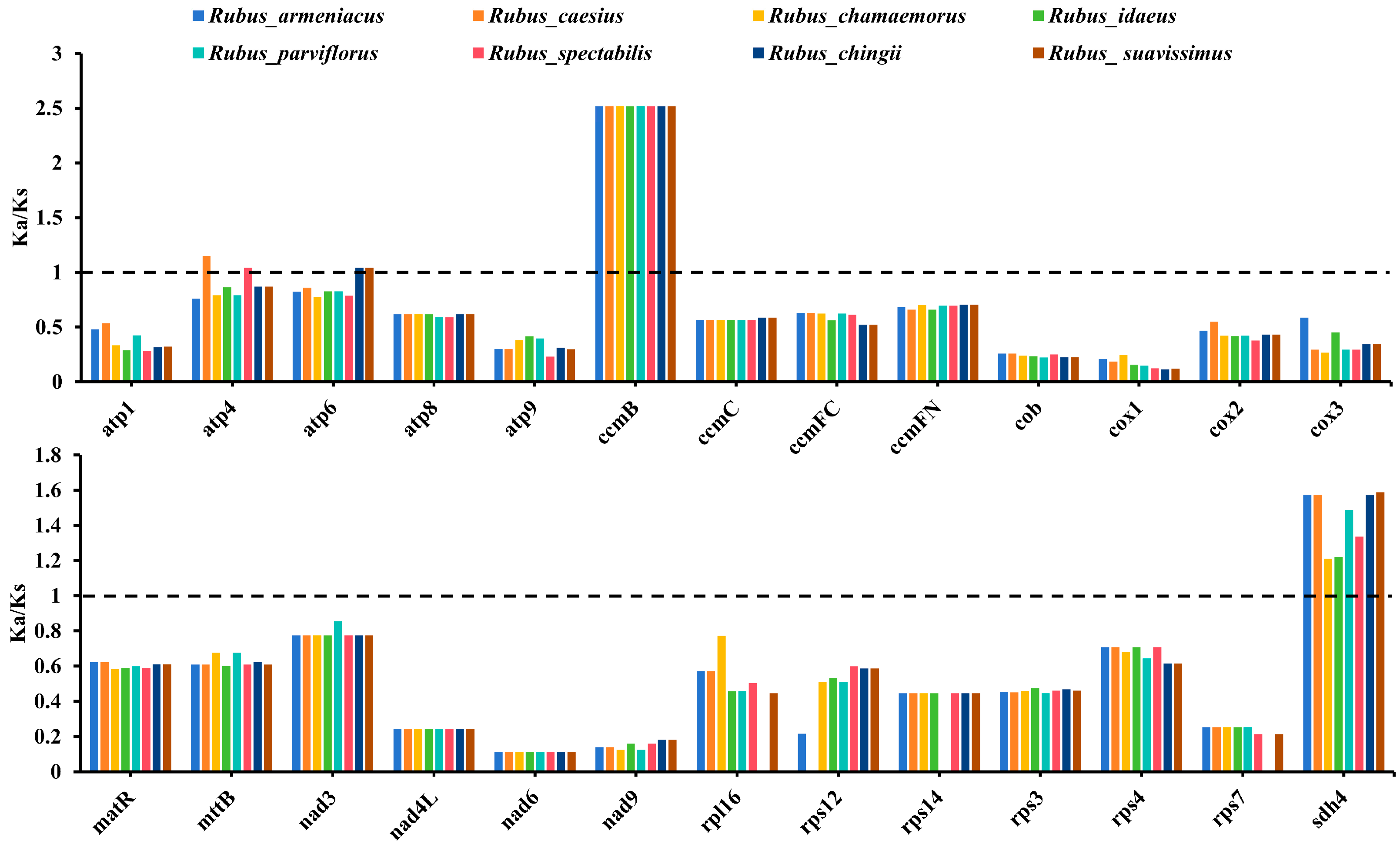 Horticulturae 11 00559 g003