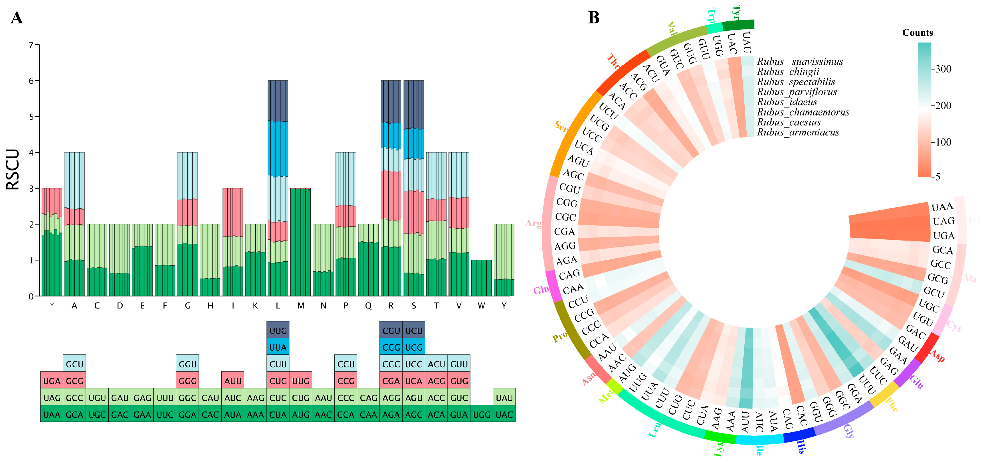 Horticulturae 11 00559 g004