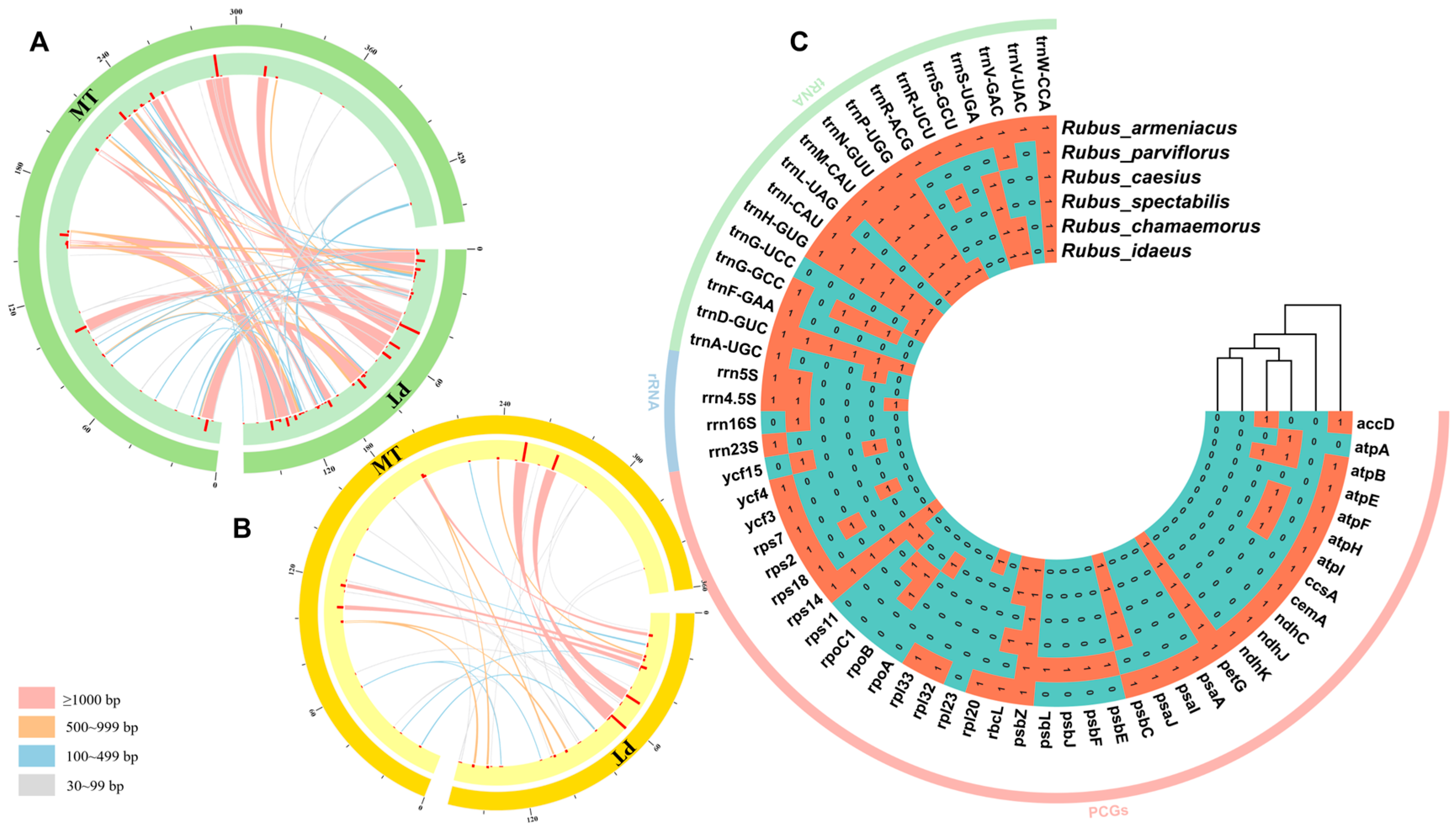 Horticulturae 11 00559 g005