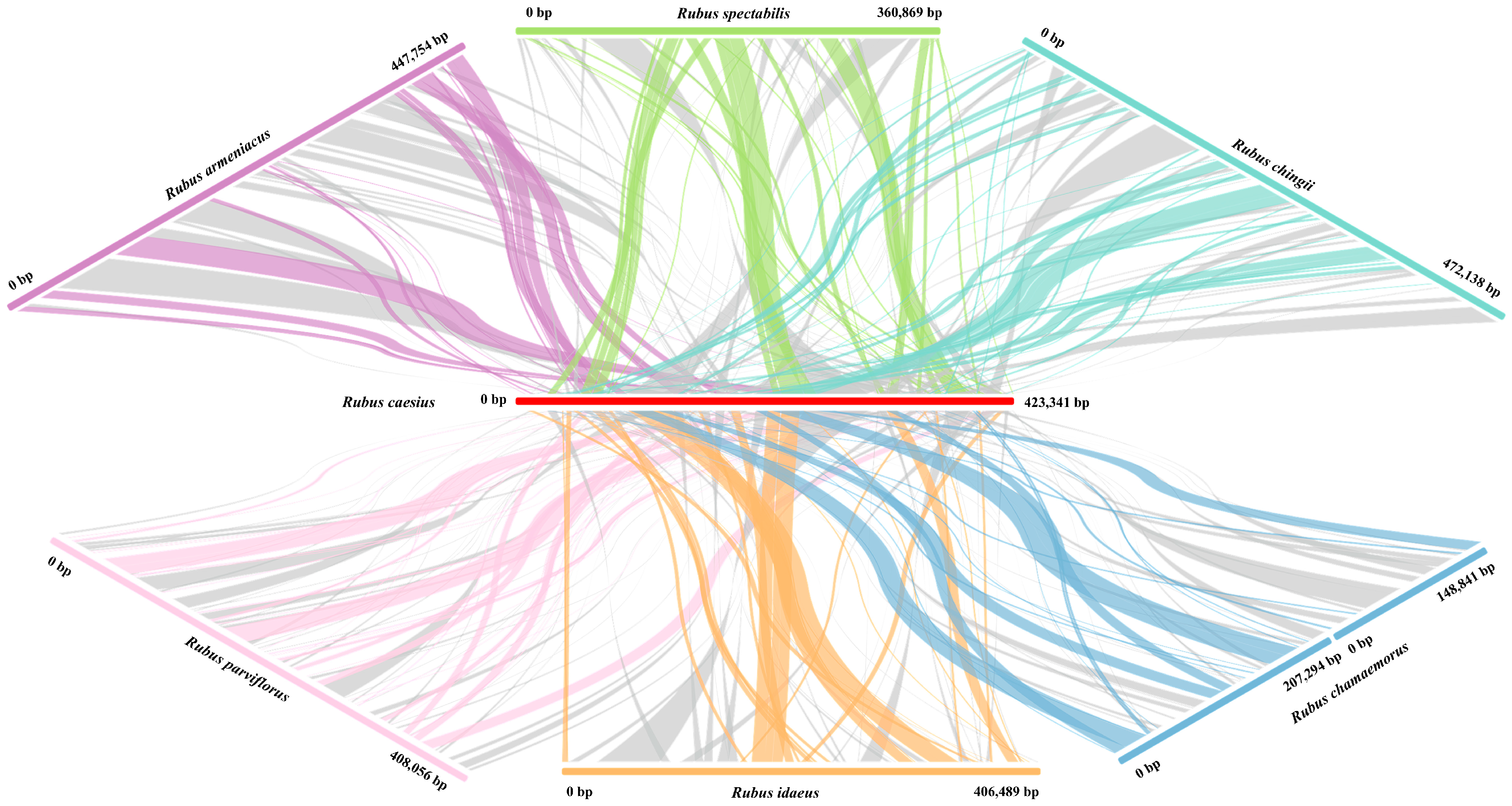 Horticulturae 11 00559 g007