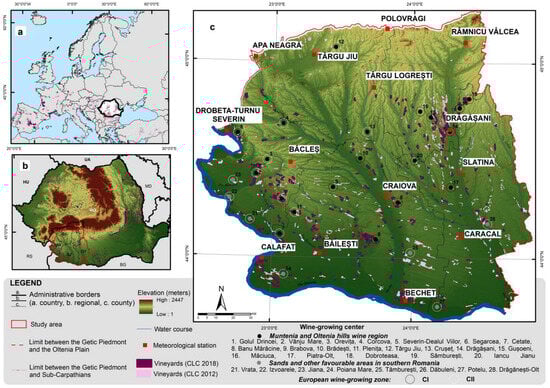 Horticulturae 11 00591 g001