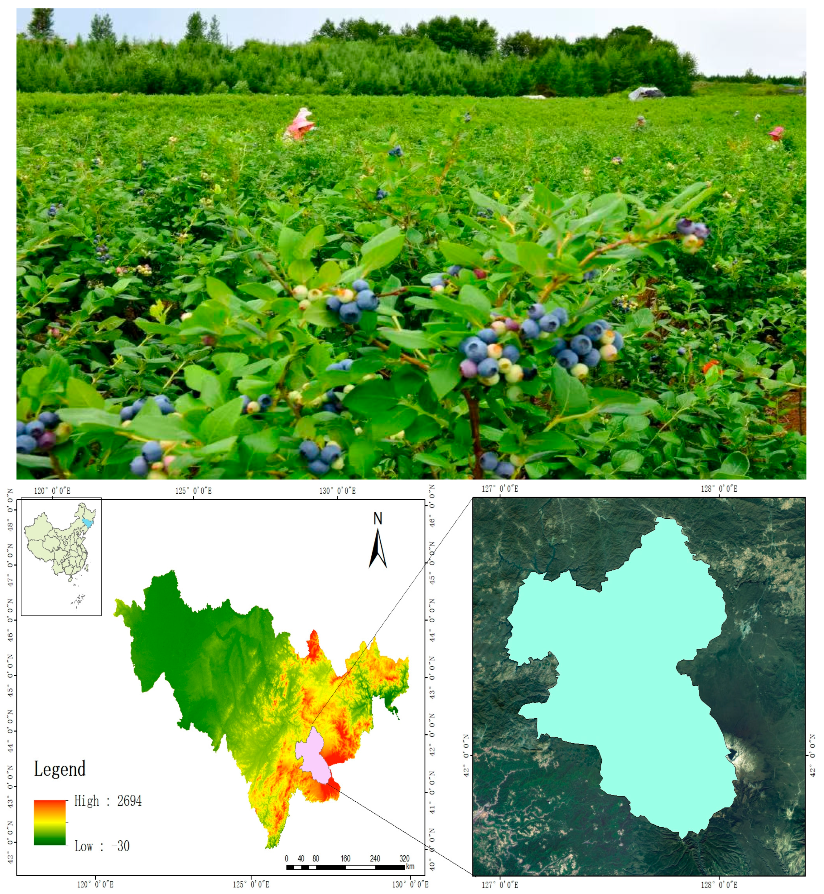 Horticulturae 11 00600 g001