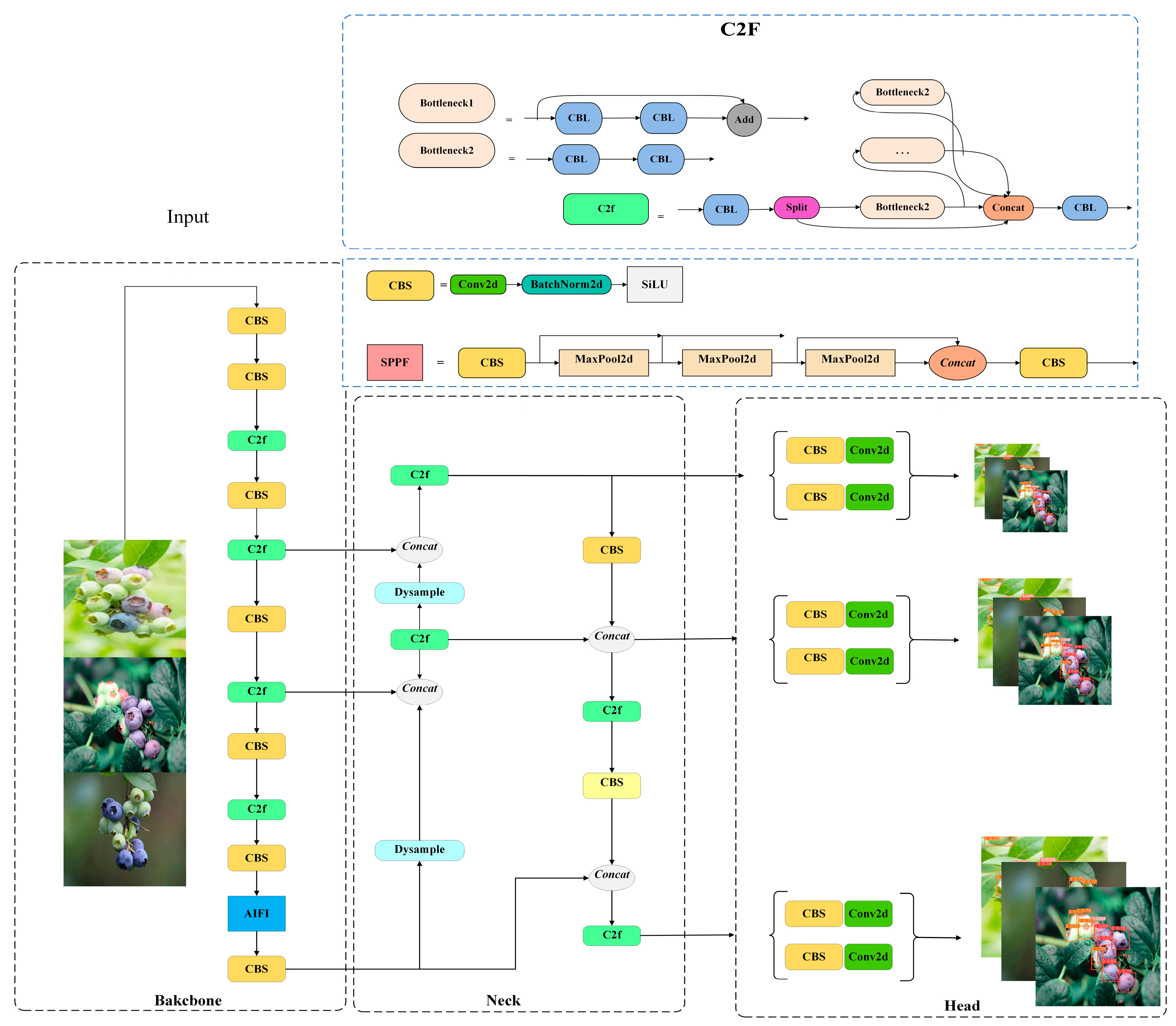 Horticulturae 11 00600 g004