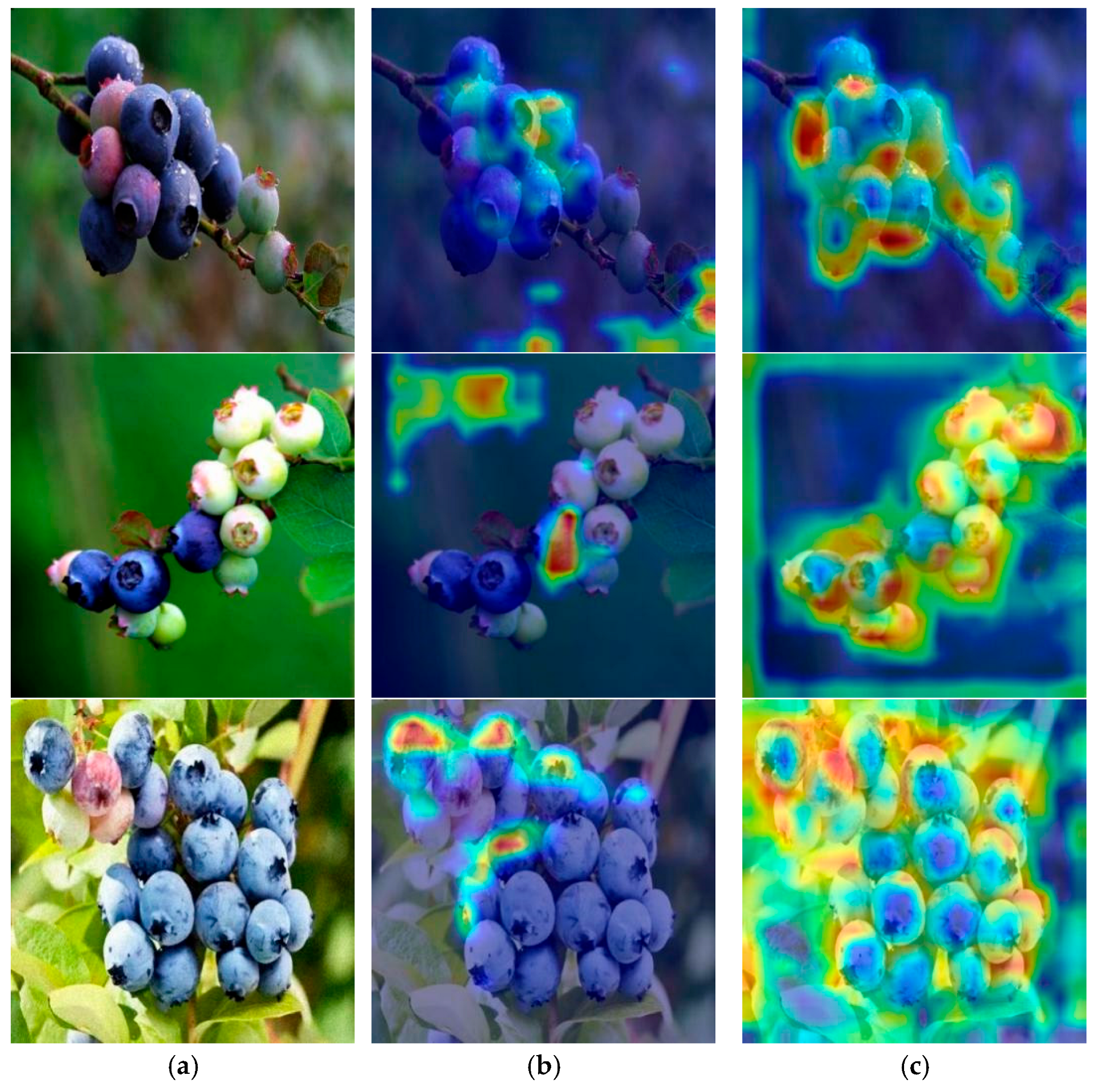 Horticulturae 11 00600 g010