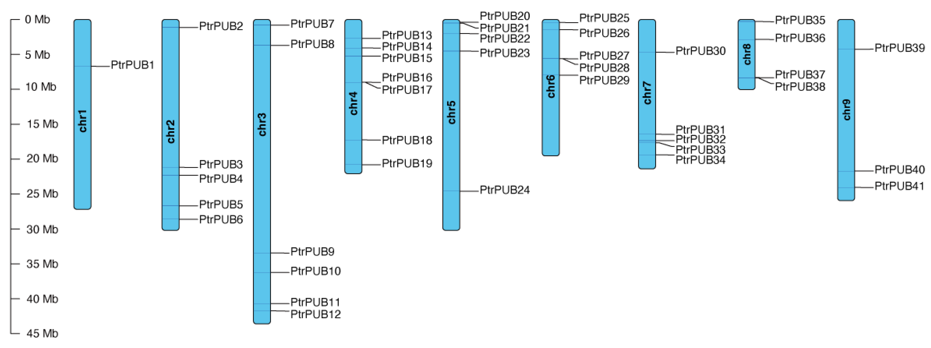 Horticulturae 11 00604 g001