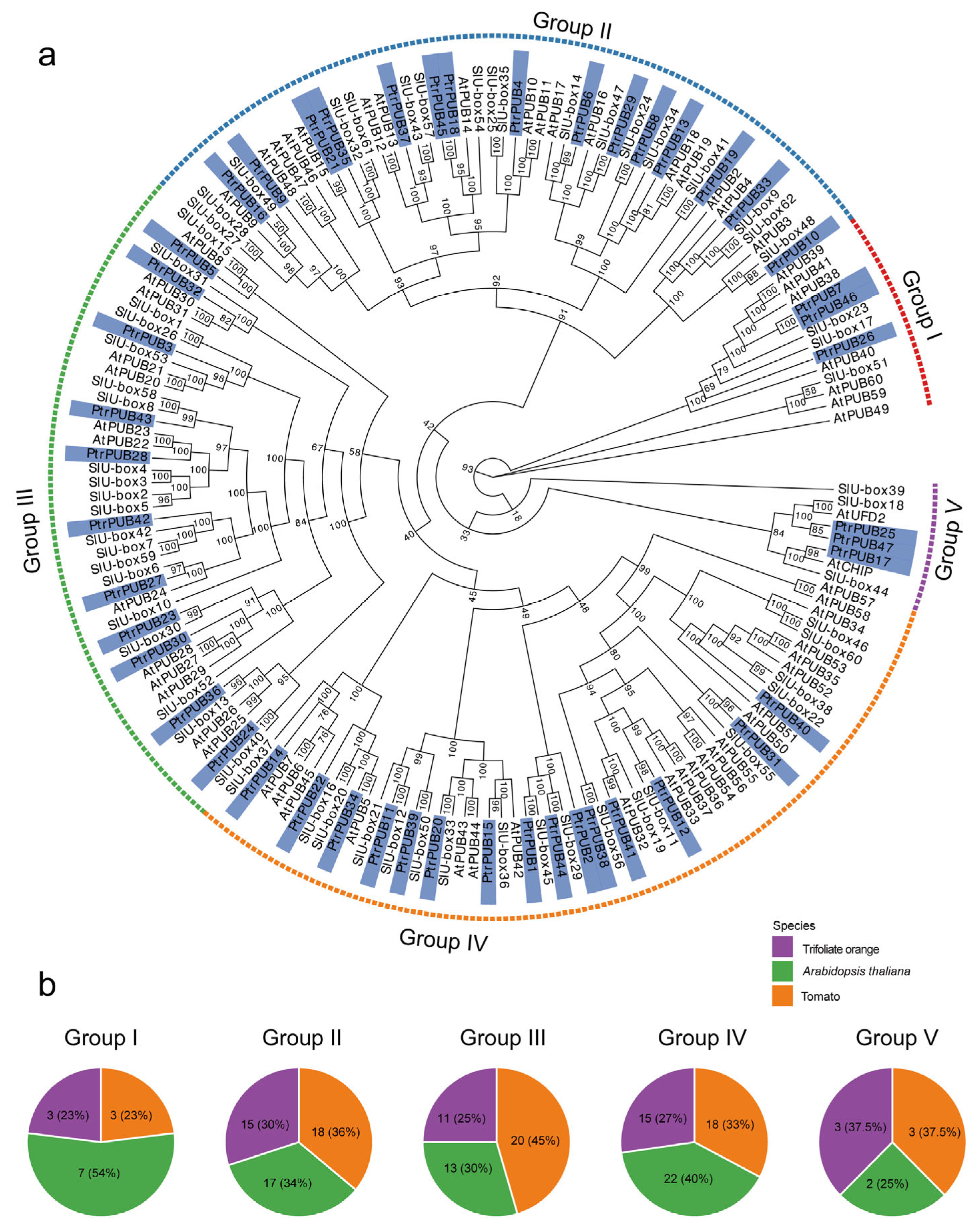 Horticulturae 11 00604 g002