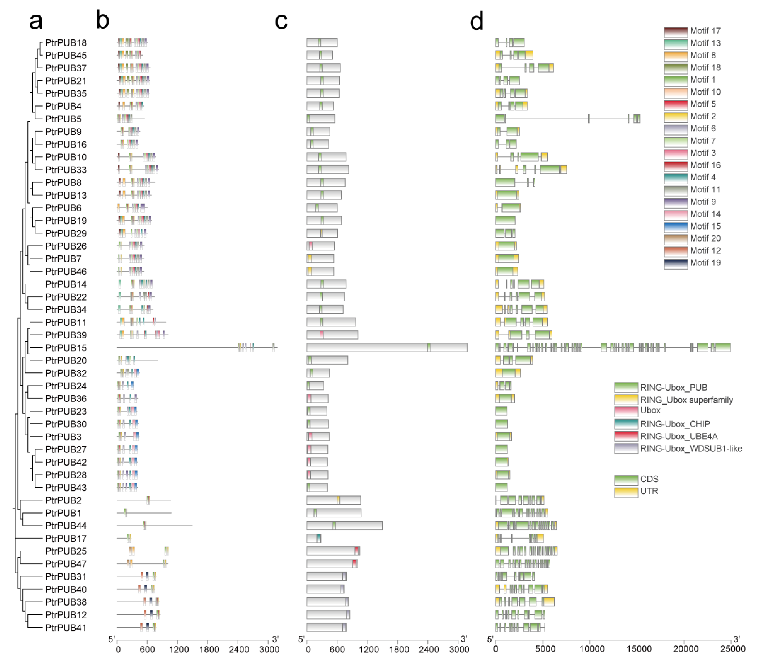 Horticulturae 11 00604 g003