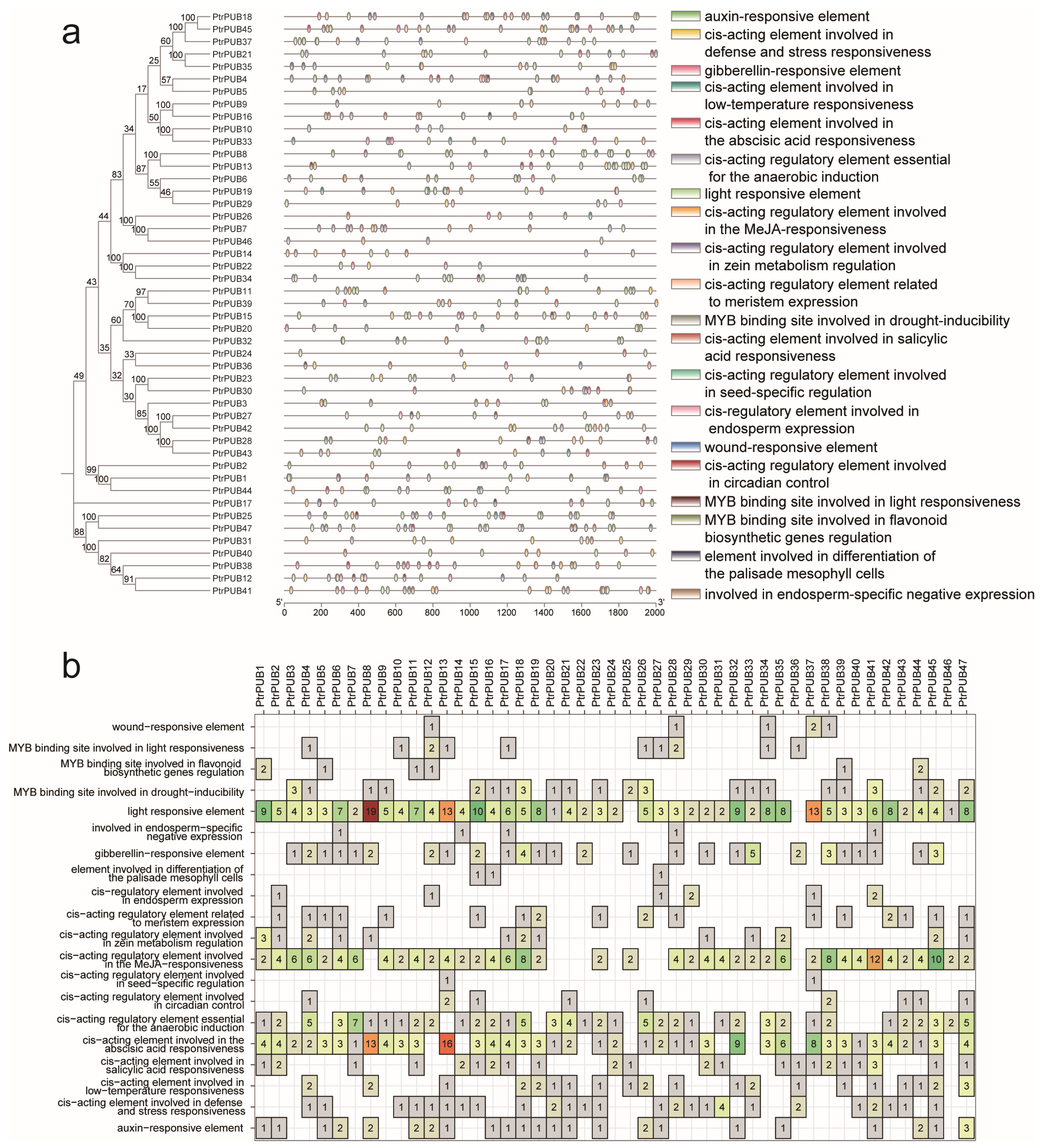 Horticulturae 11 00604 g004