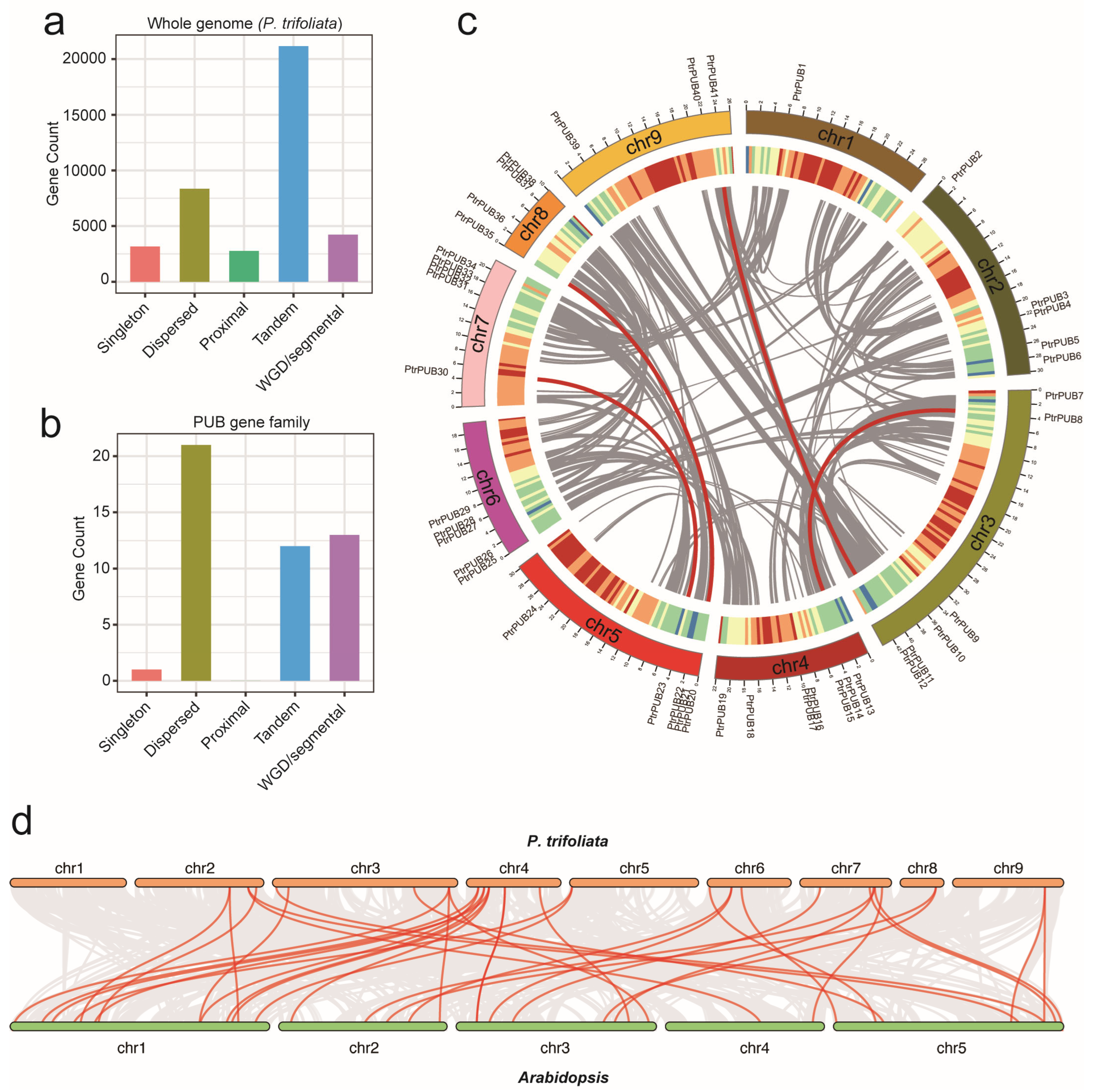 Horticulturae 11 00604 g005
