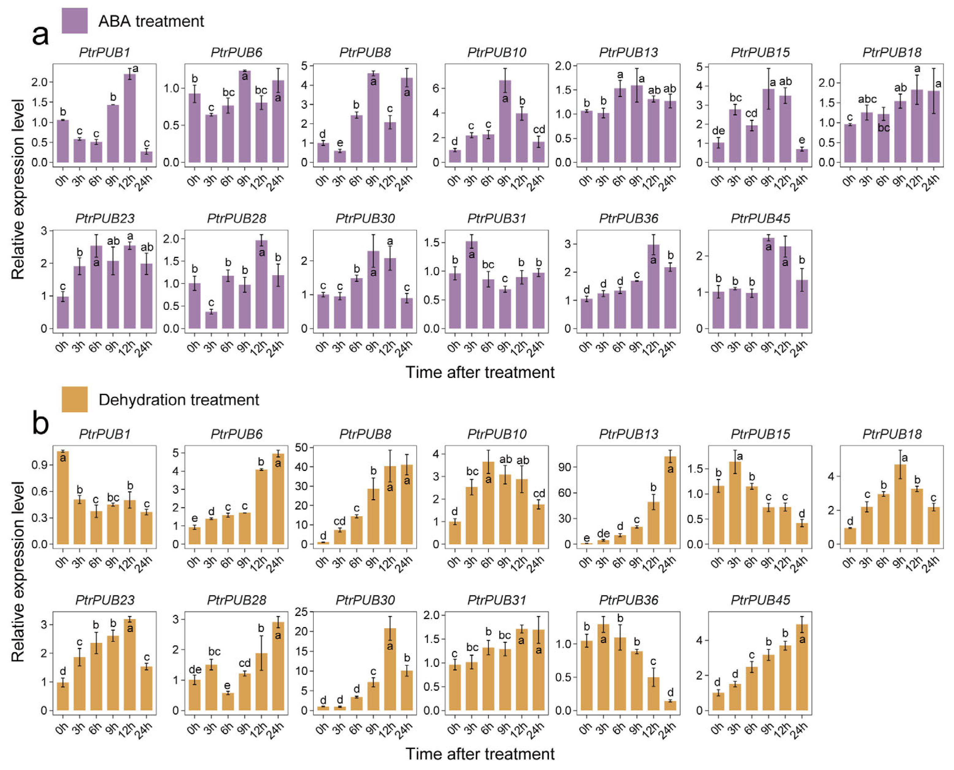 Horticulturae 11 00604 g007