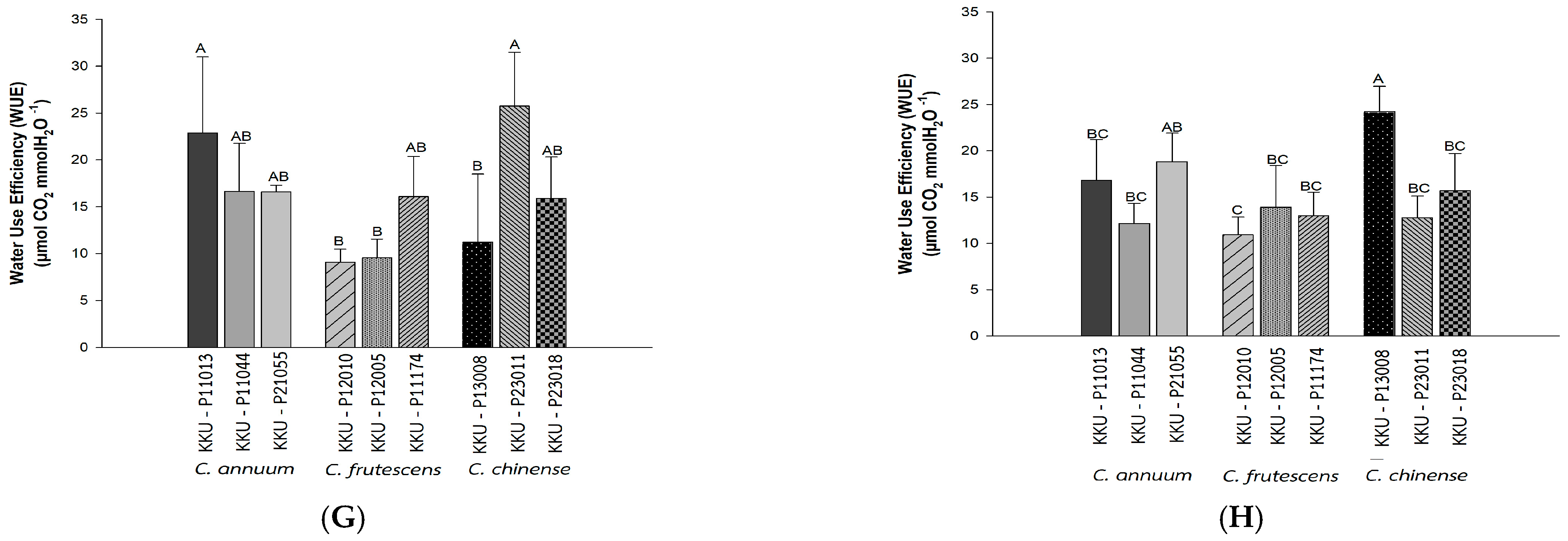 Horticulturae 11 00607 g003b