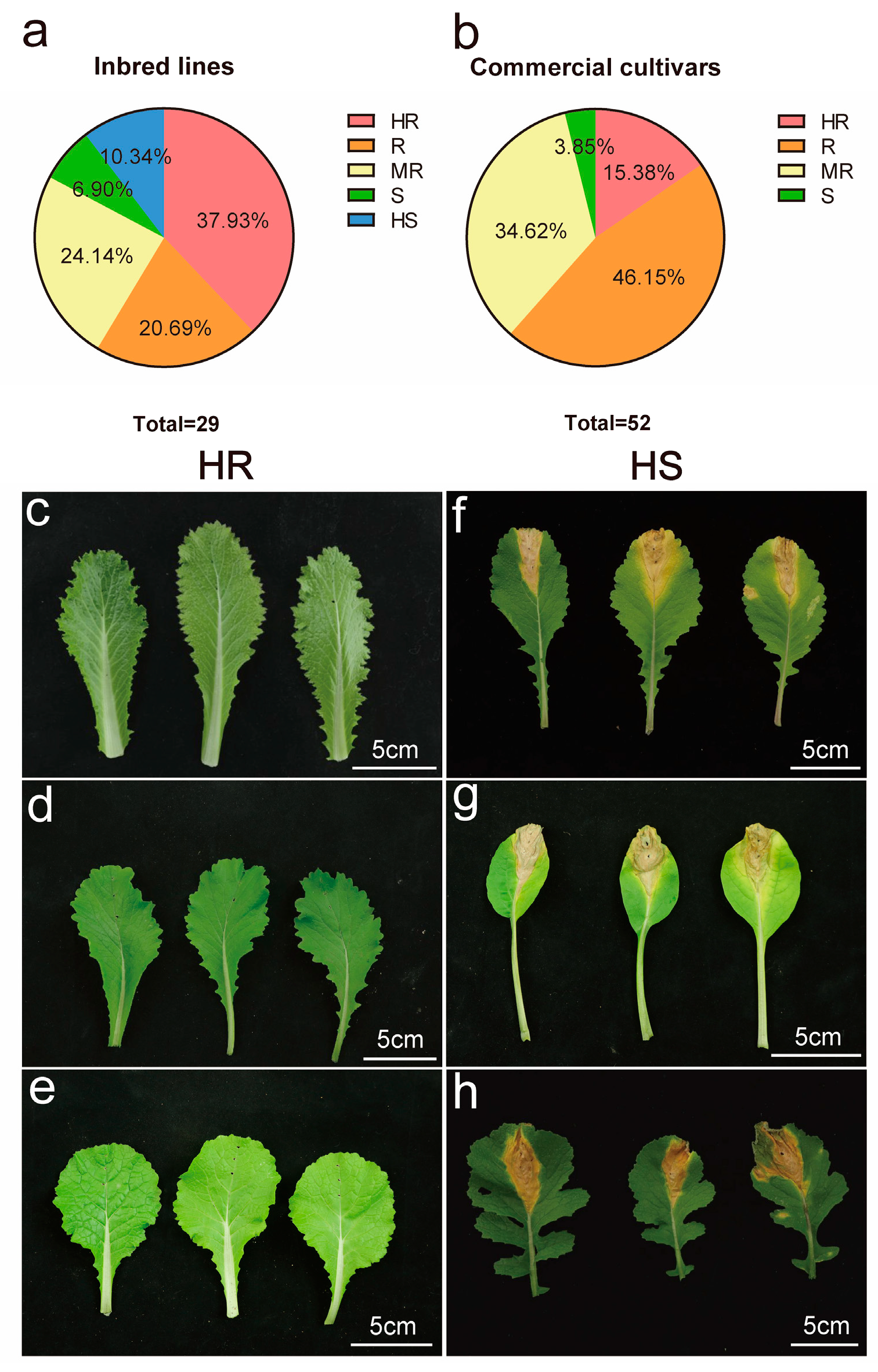 Horticulturae 11 00626 g001