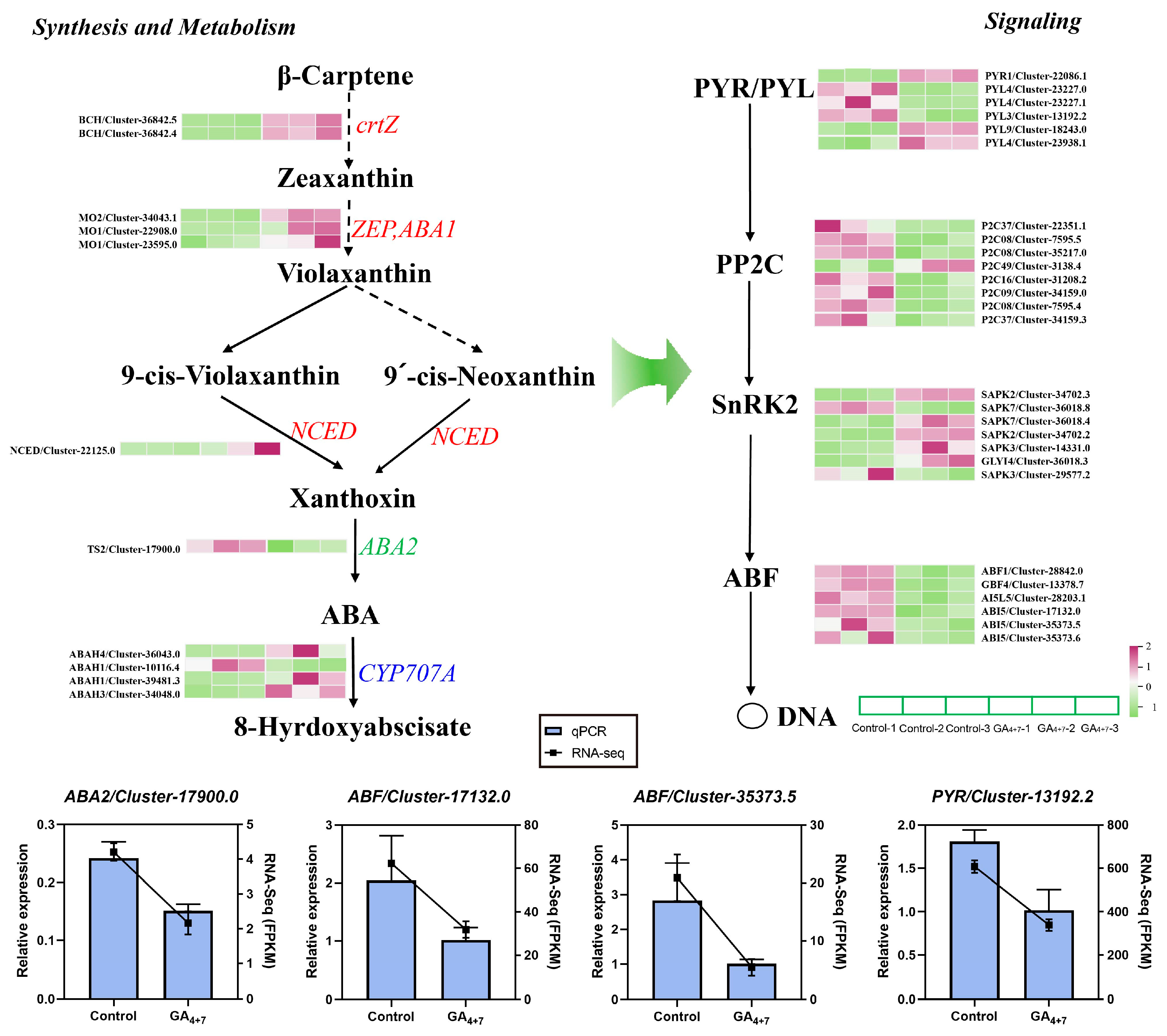 Horticulturae 11 00627 g005