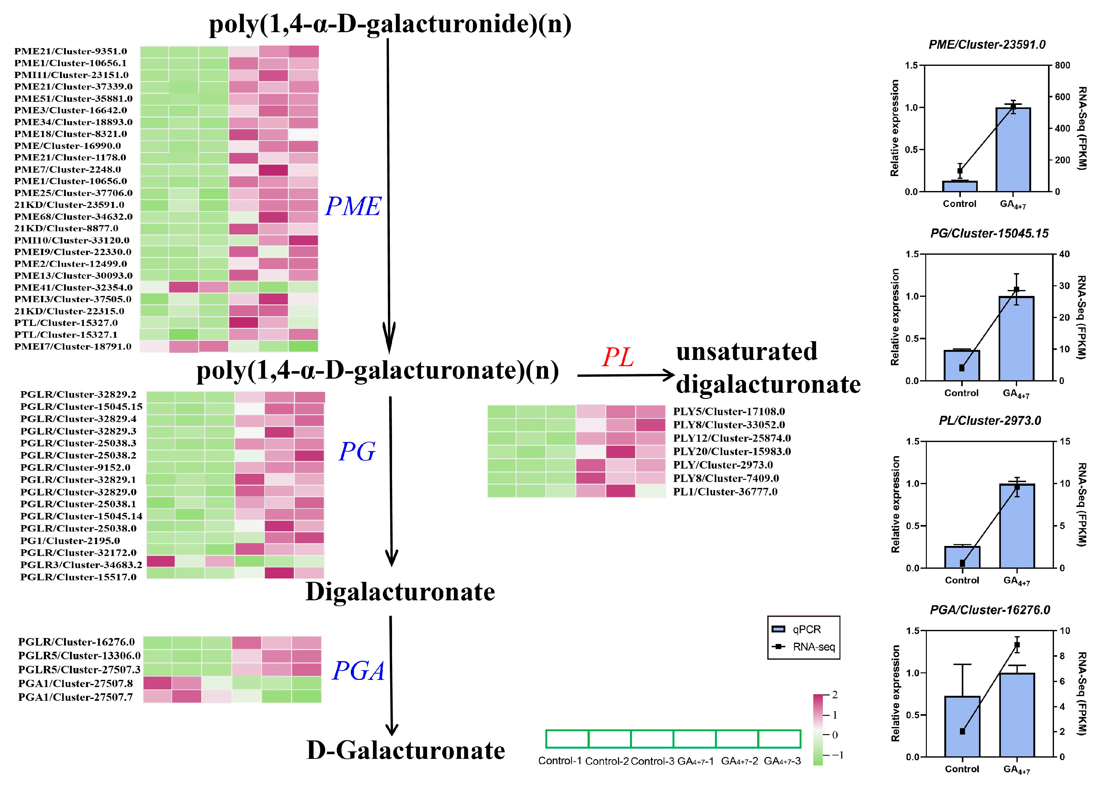 Horticulturae 11 00627 g007